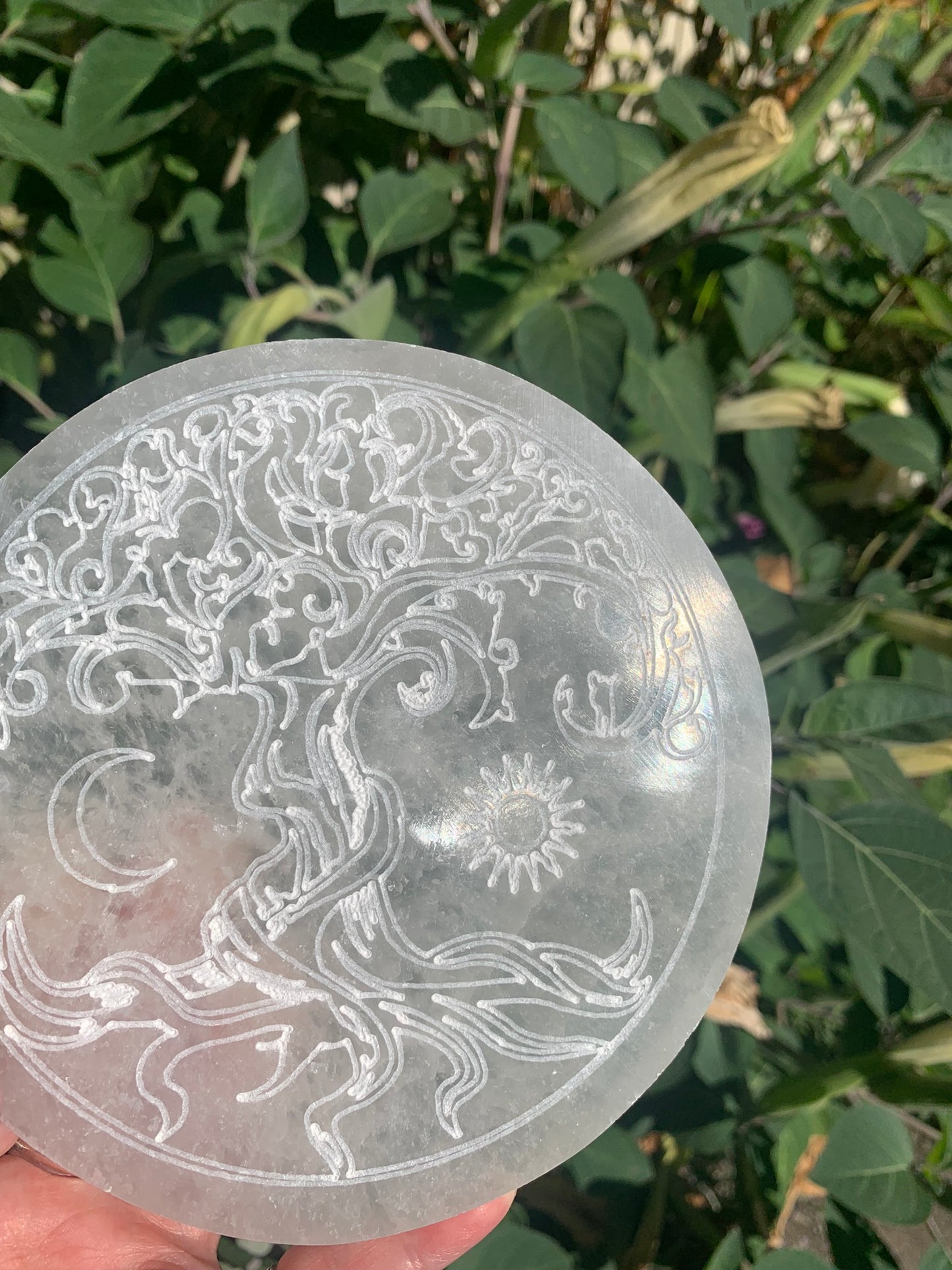 Selenite Tree of Life | Charging Plate - Grid