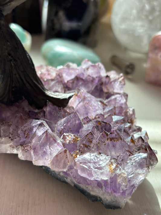 Amethyst Tree on Cluster - Medium - Brazil