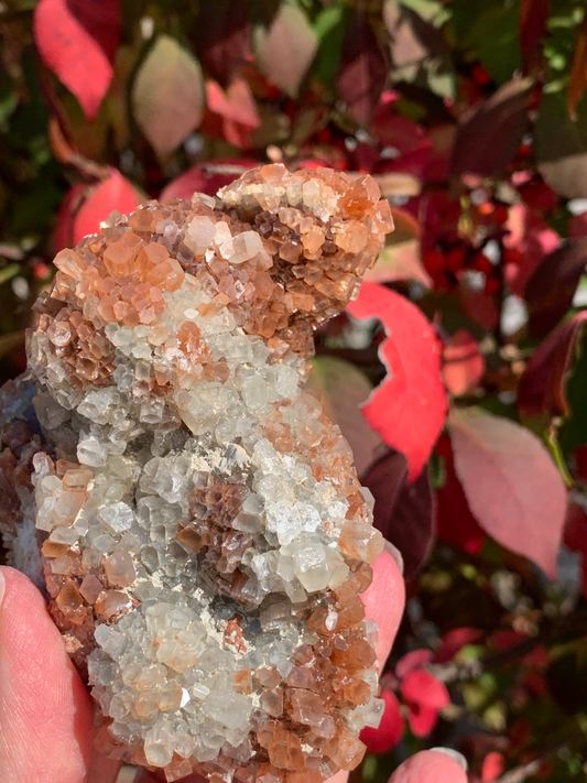 Star Aragonite Cluster