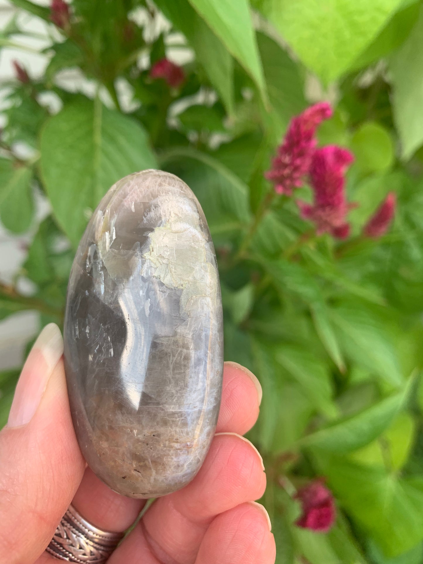 Black Moonstone - Palm Stone