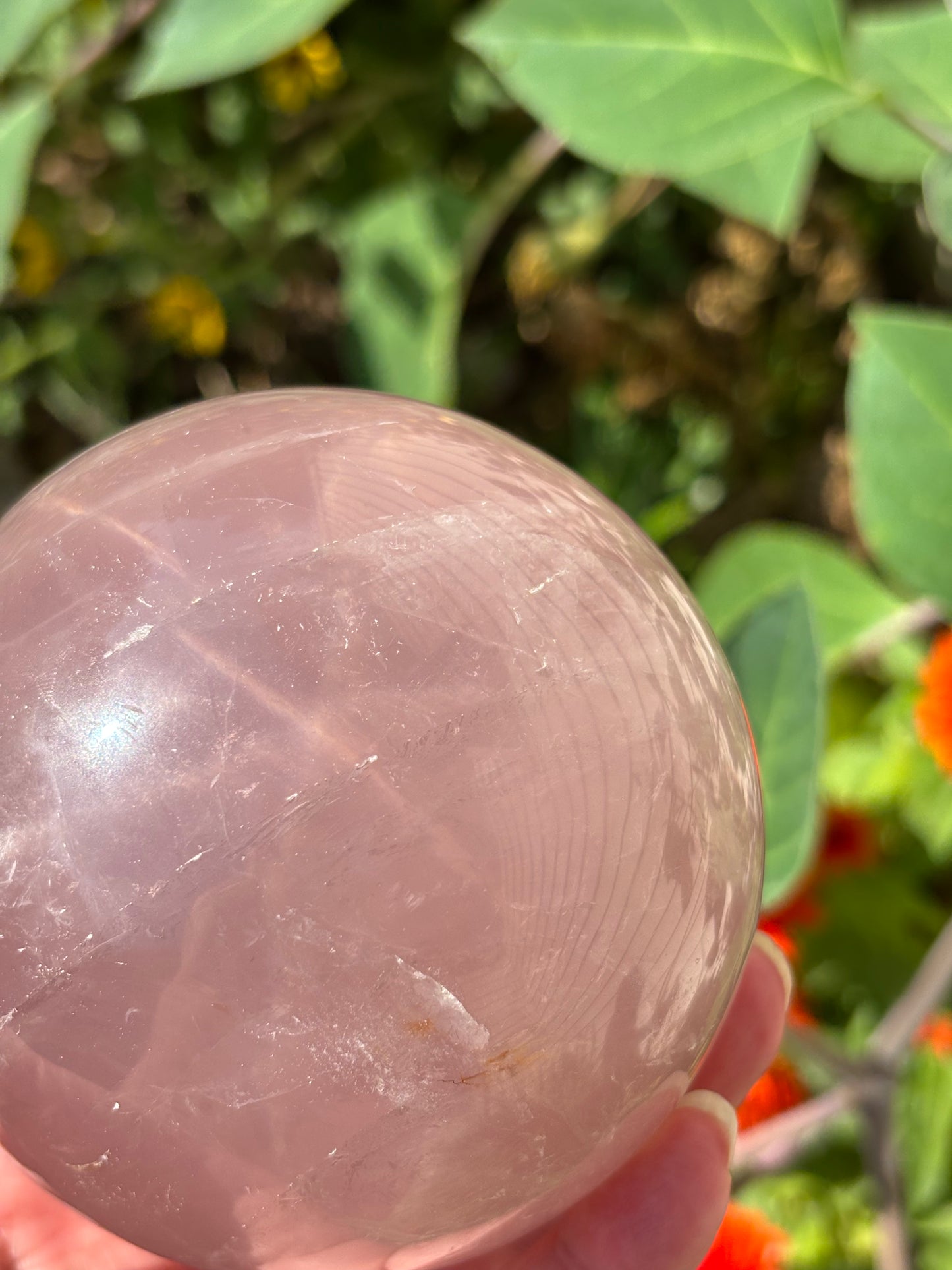 STAR Lavender Rose Quartz Sphere - Madagascar