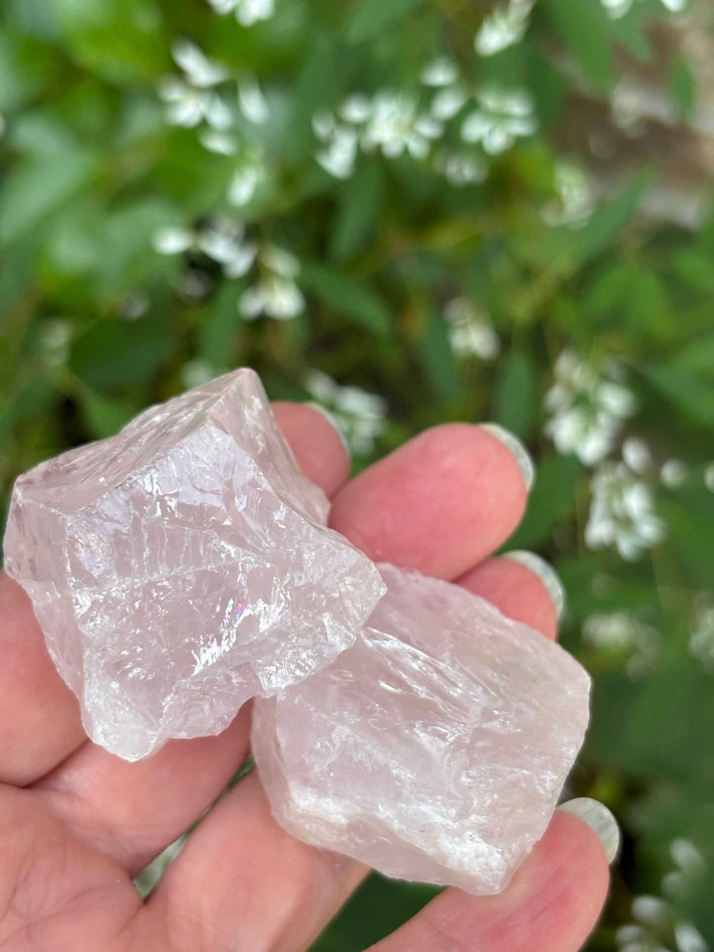 Rose Quartz Natural