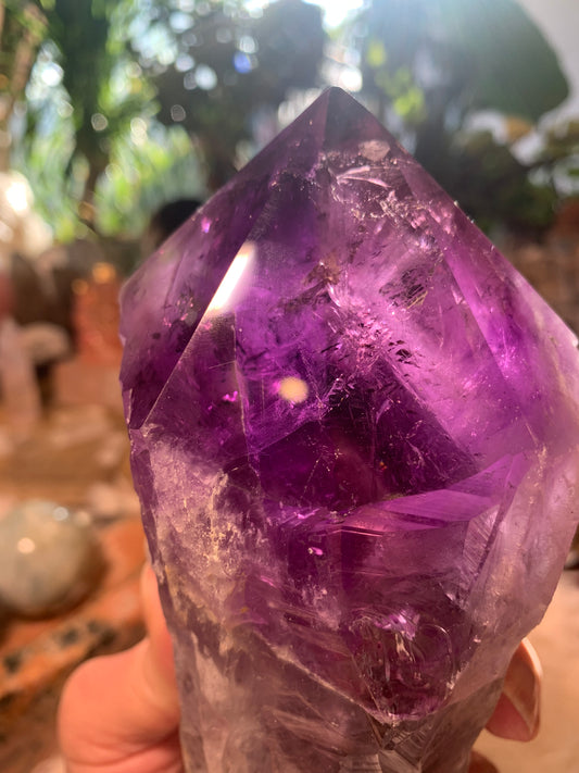 Amethyst Root Point - Bahia Brazil - Phantoms