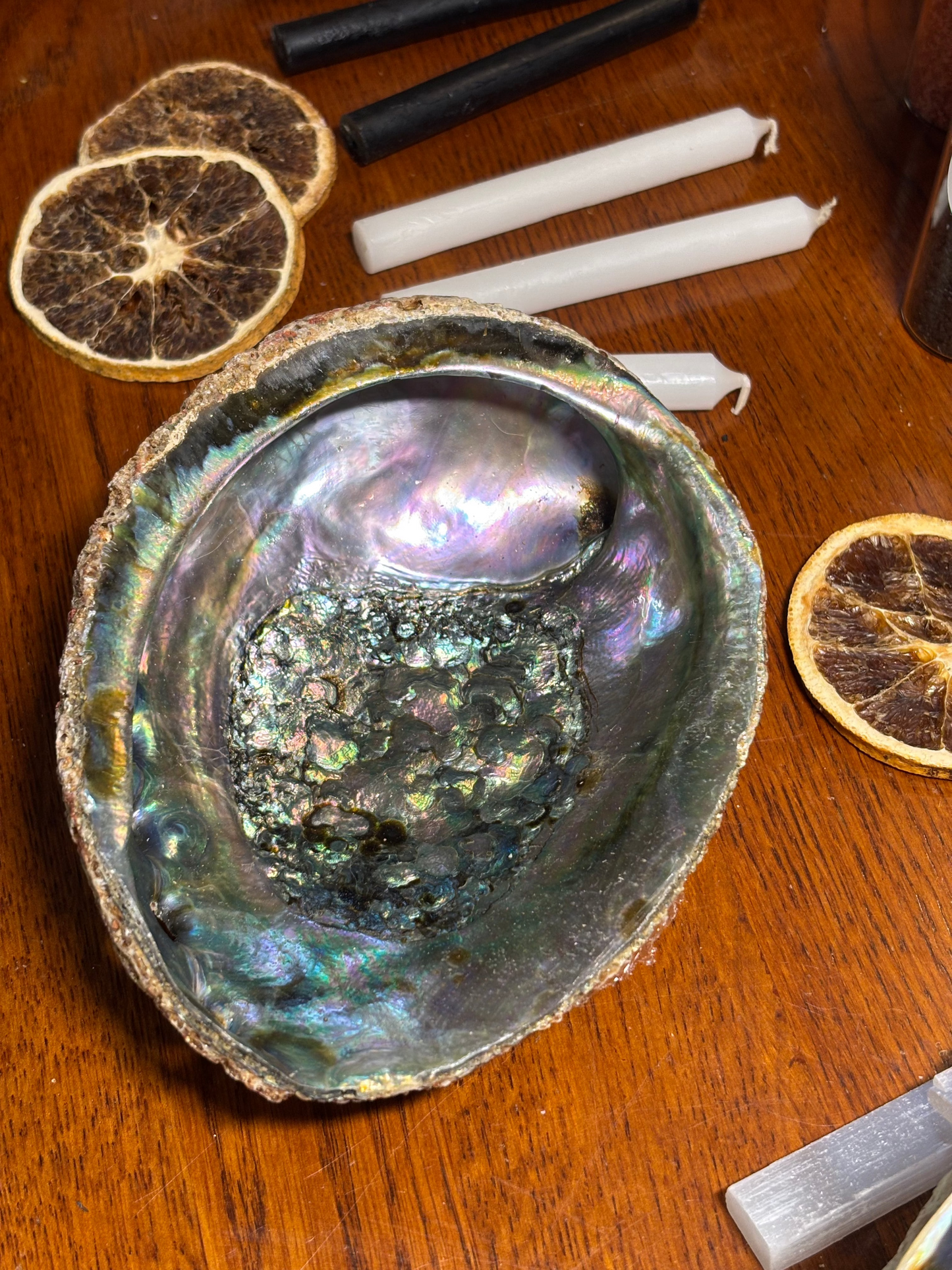 Abalone Shell Dish