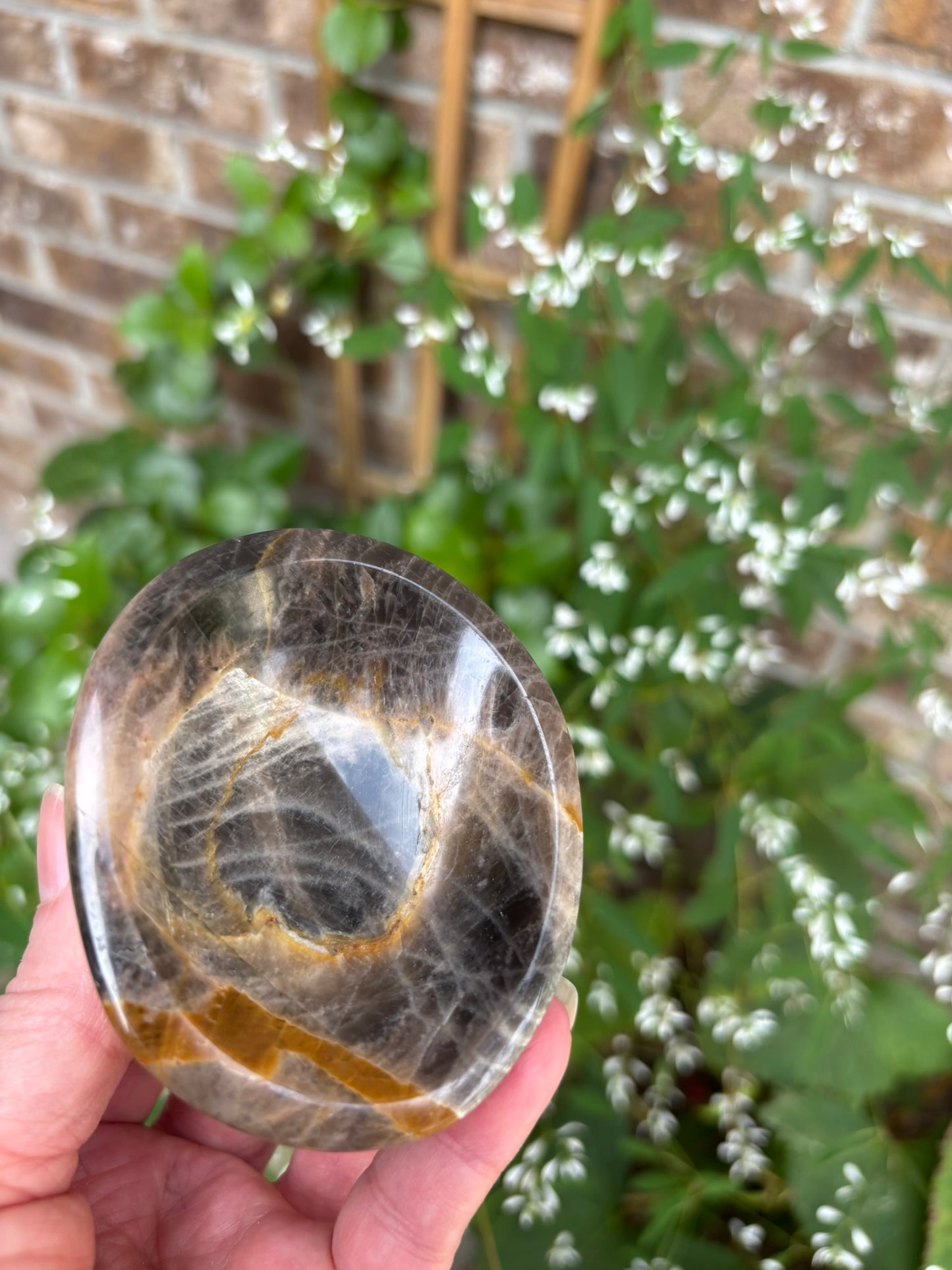 Black Moonstone - Bowl