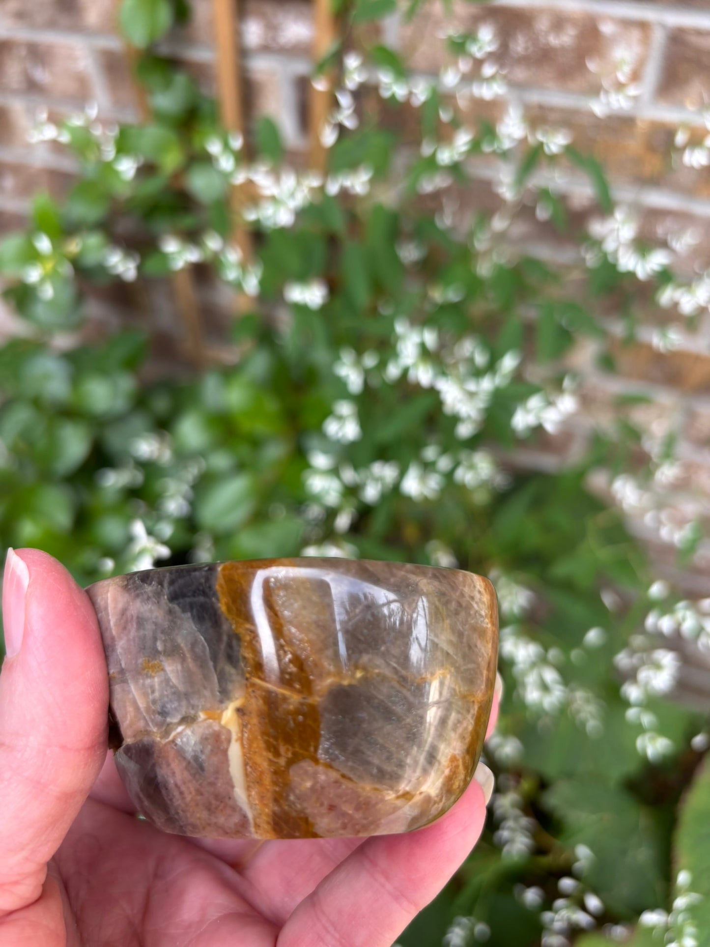 Black Moonstone - Bowl