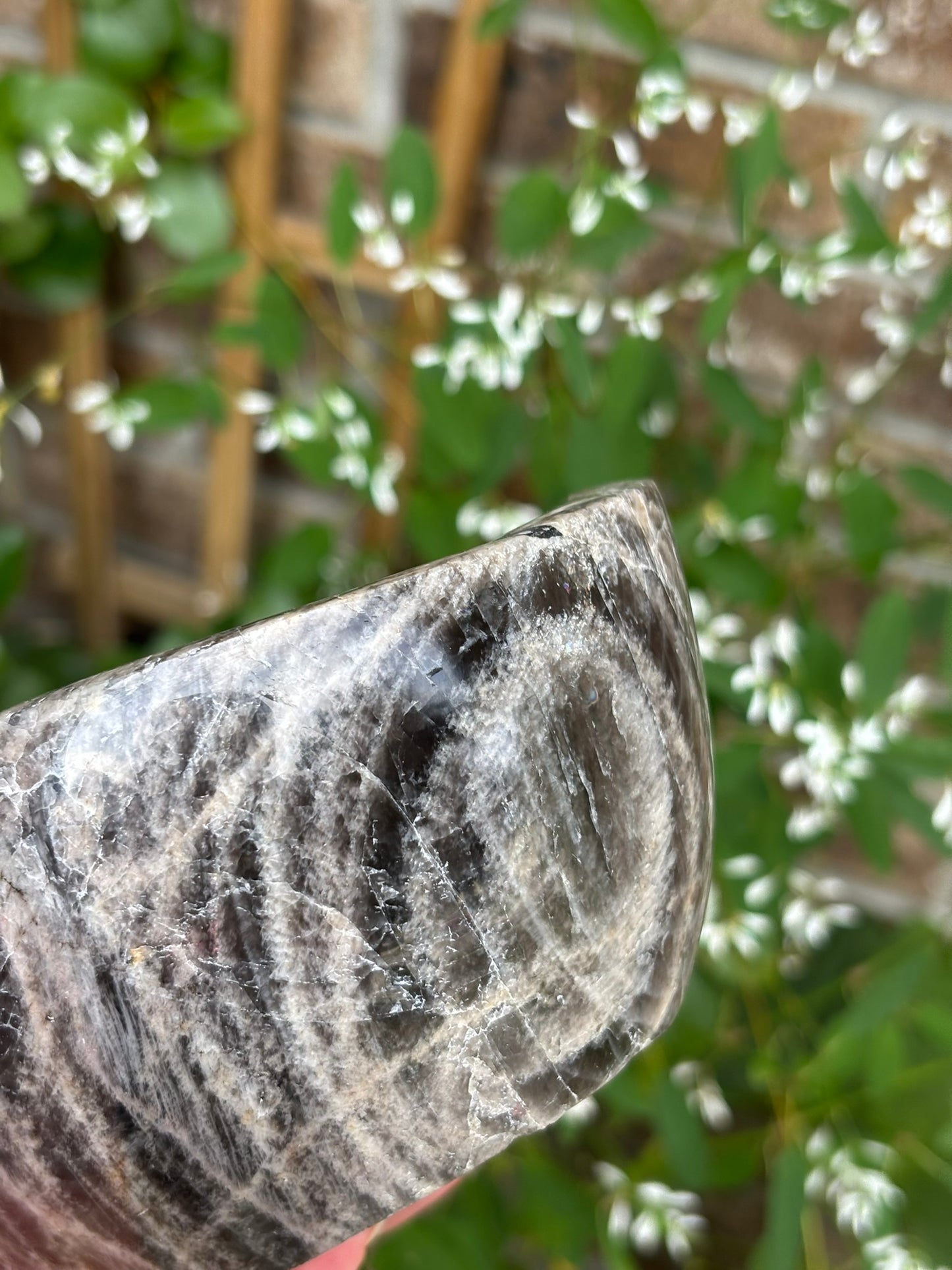 Black Moonstone - Bowl