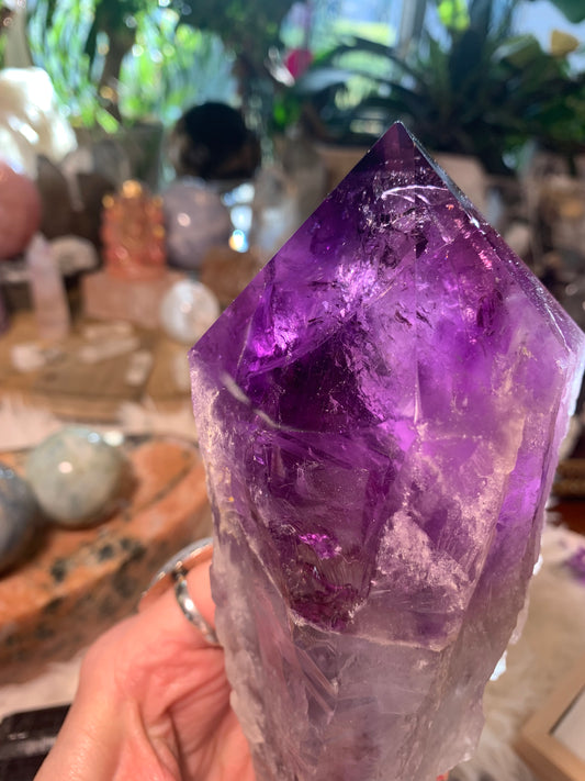 Amethyst Root Point - Bahia Brazil - Phantoms