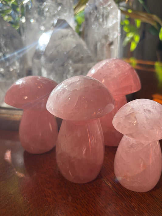 Rose Quartz - Mushroom | Madagascar