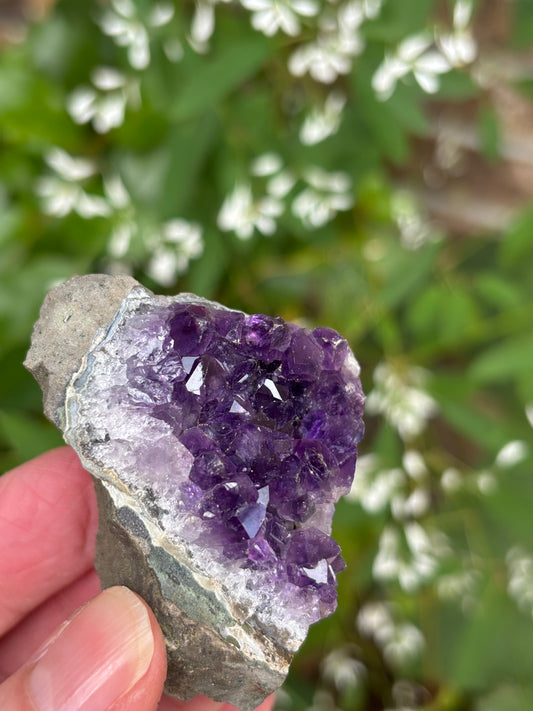 Amethyst Cluster