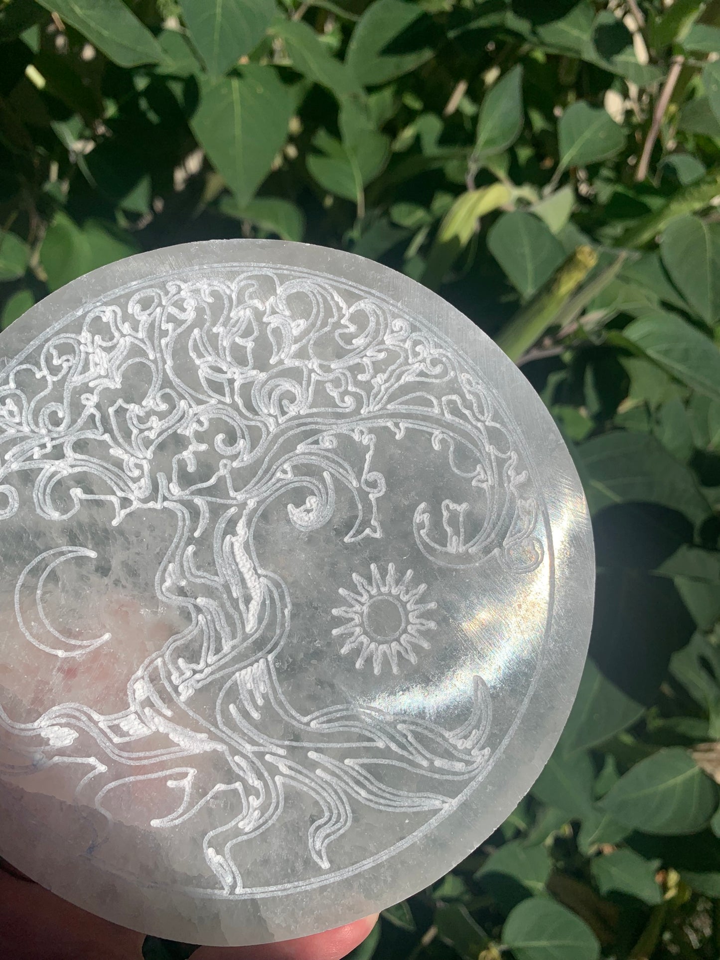 Selenite Tree of Life | Charging Plate - Grid