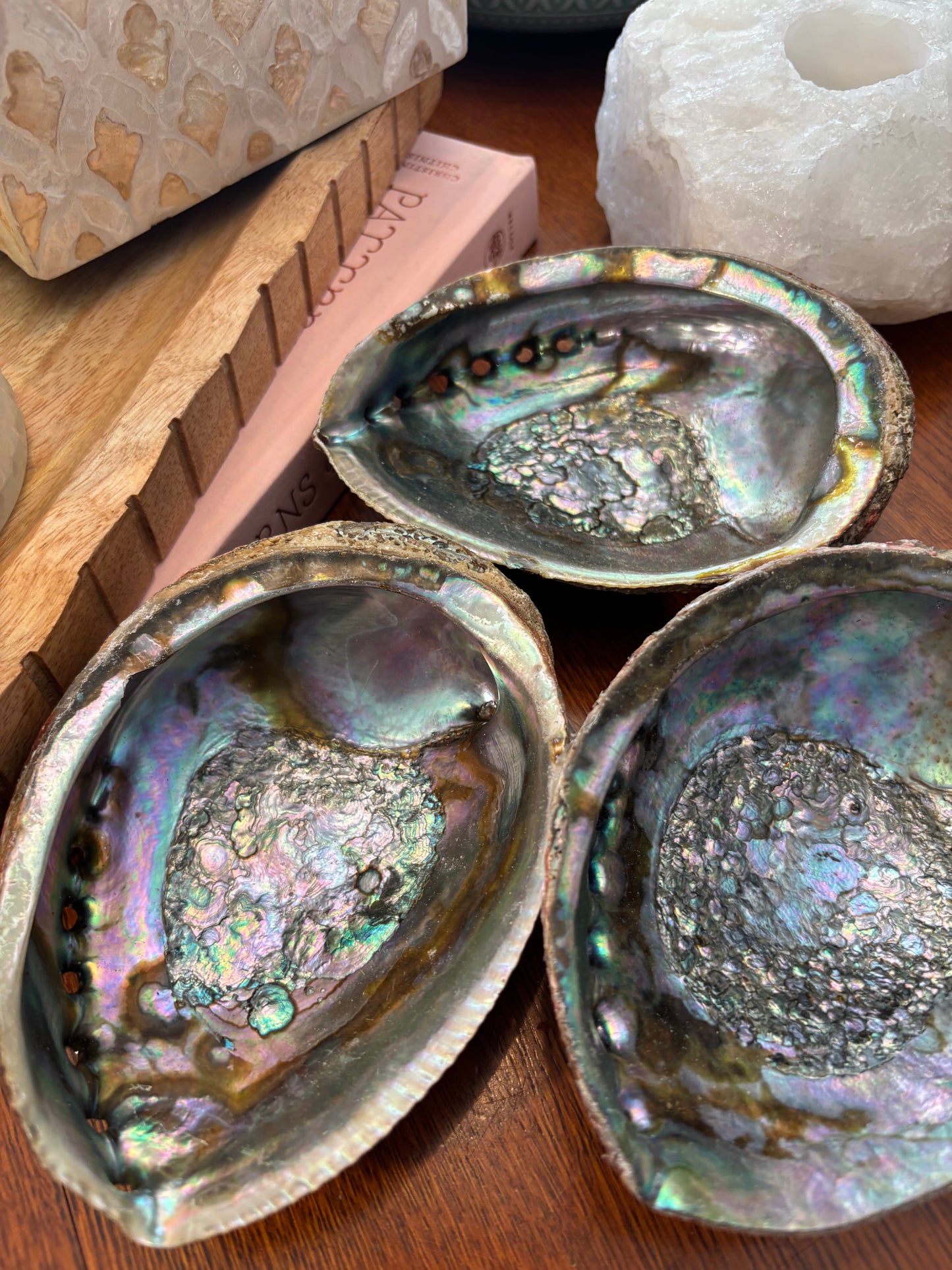 Abalone Shell Dish