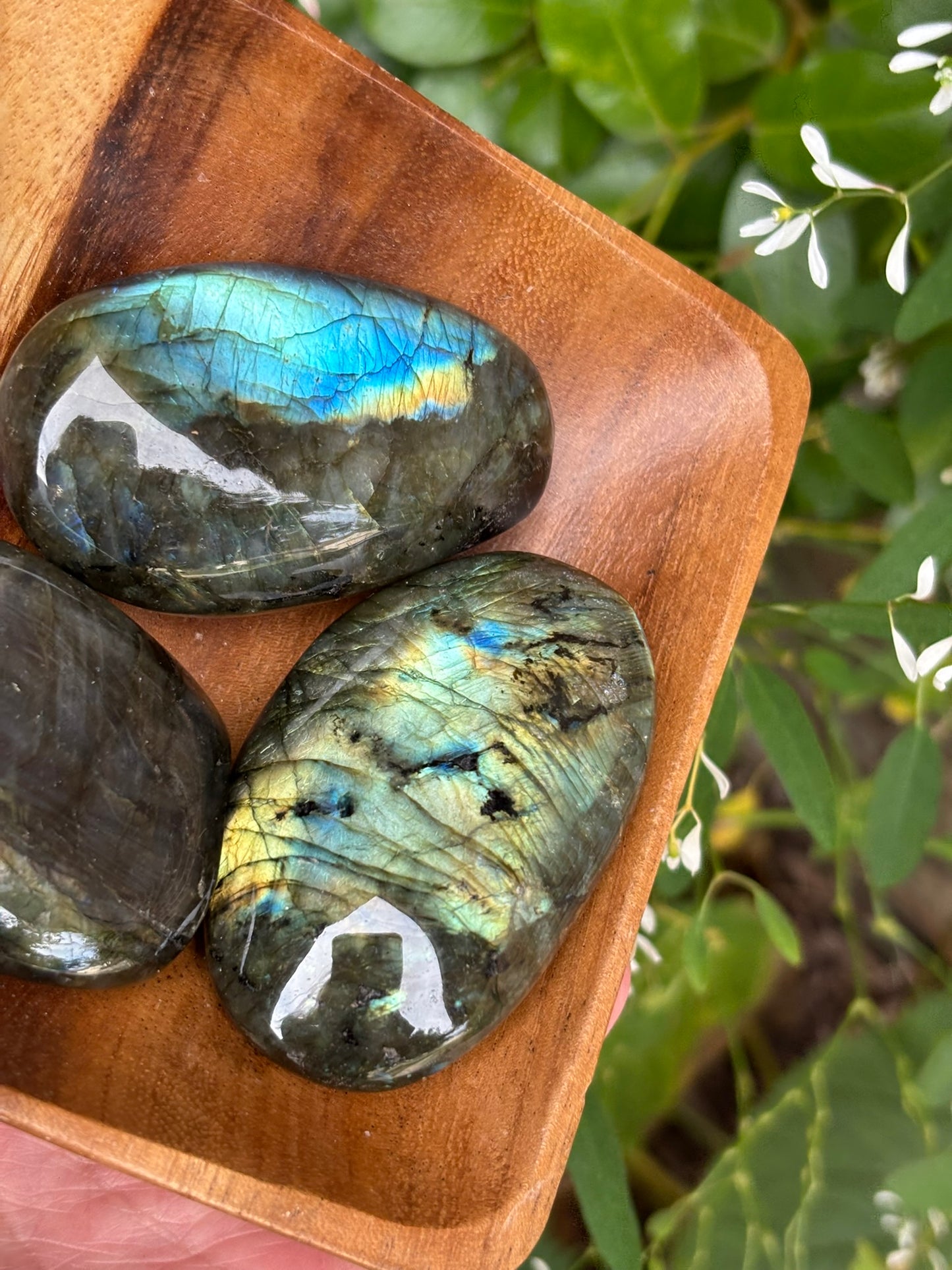 Labradorite - Palm Stone | Madagascar