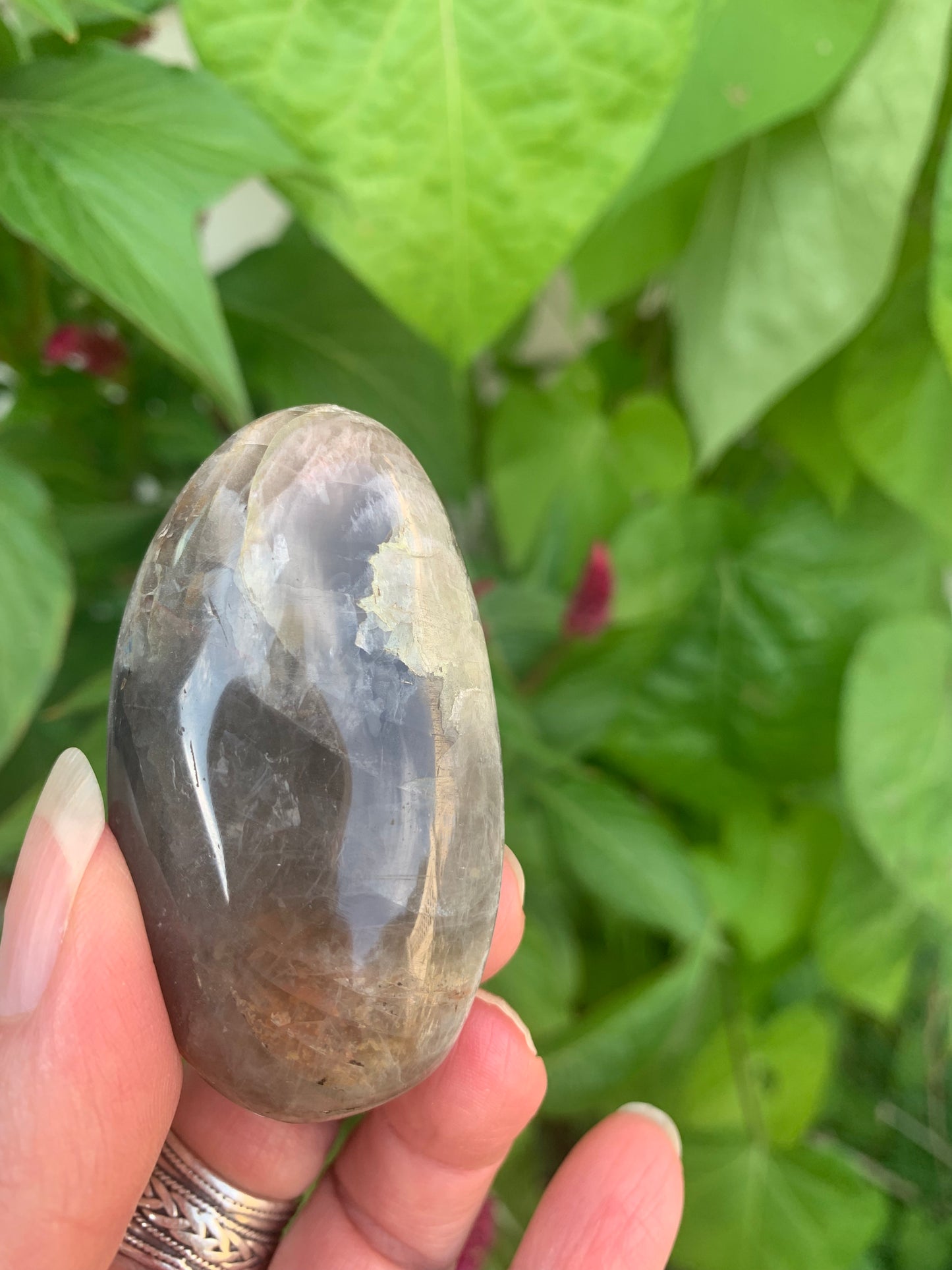 Black Moonstone - Palm Stone