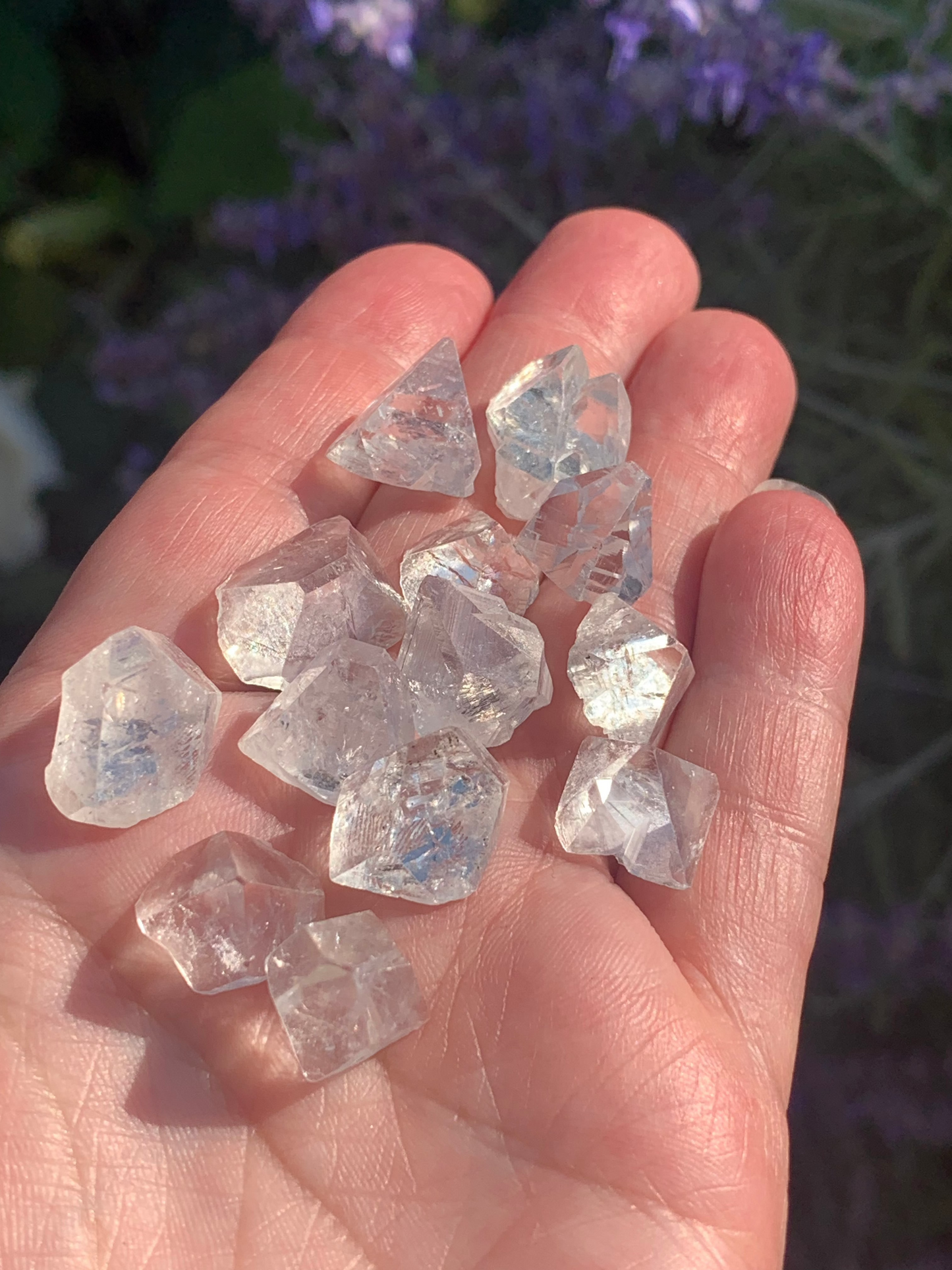 Apophyllite Points Zeolite SMALL | Bundle of 4