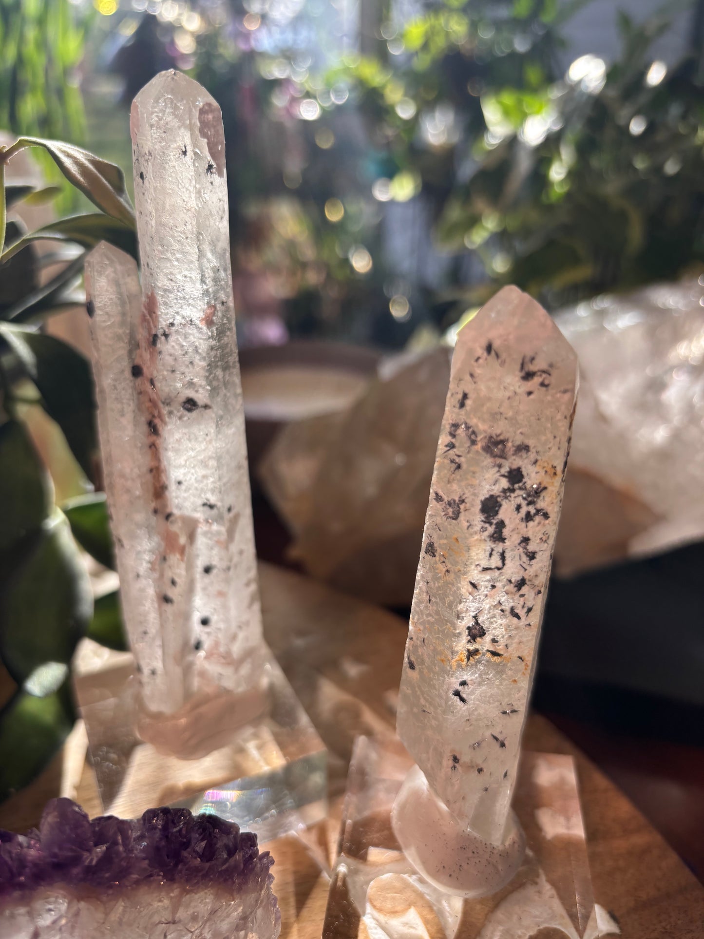 Mongolian Quartz with Hematite Rosettes