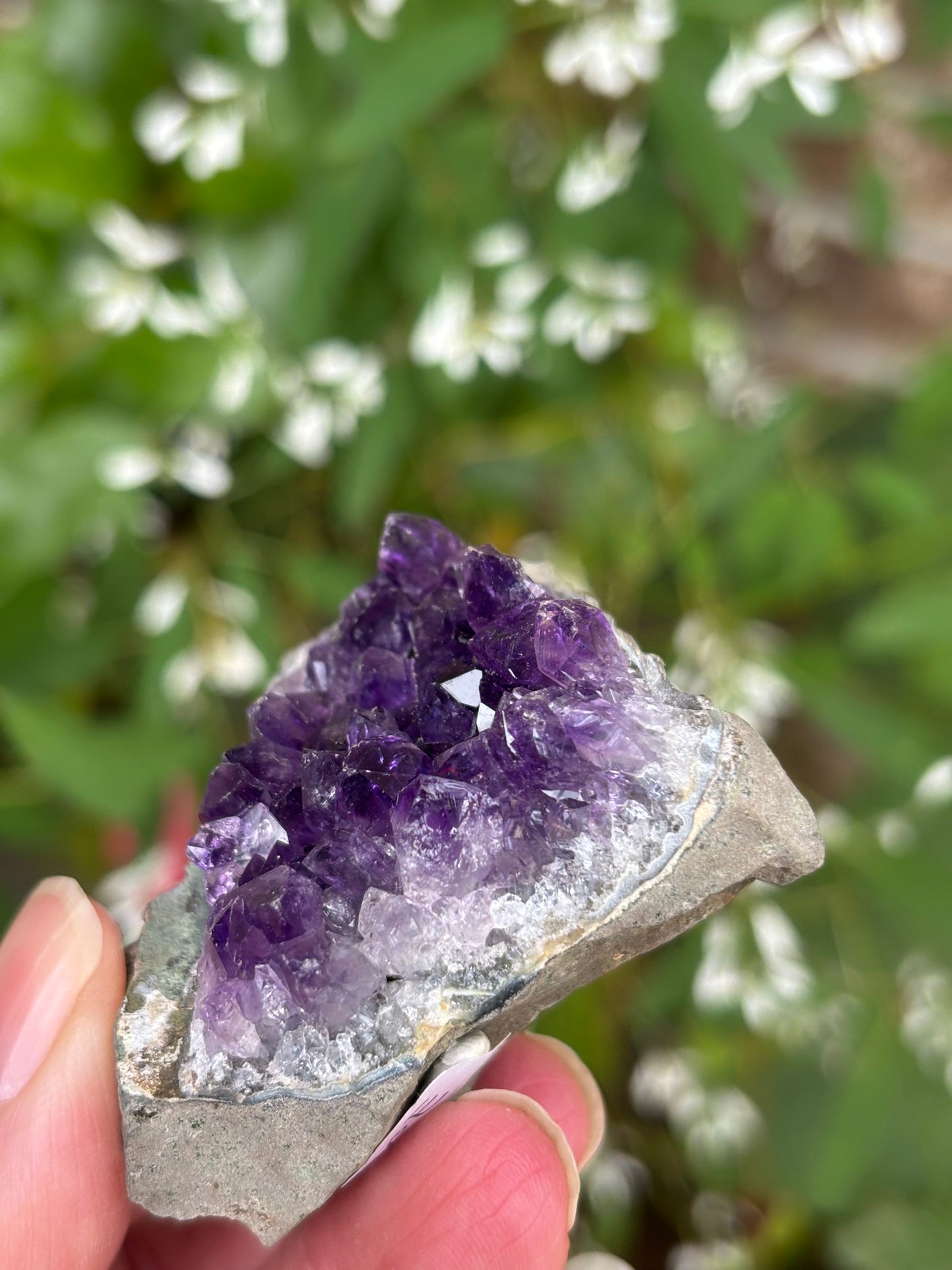 Amethyst Cluster
