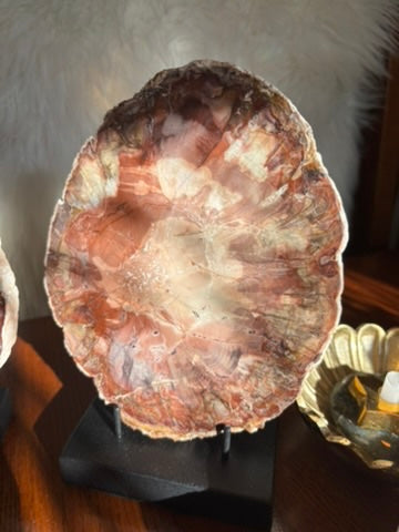 Petrified Wood charging plate set - Madagascar