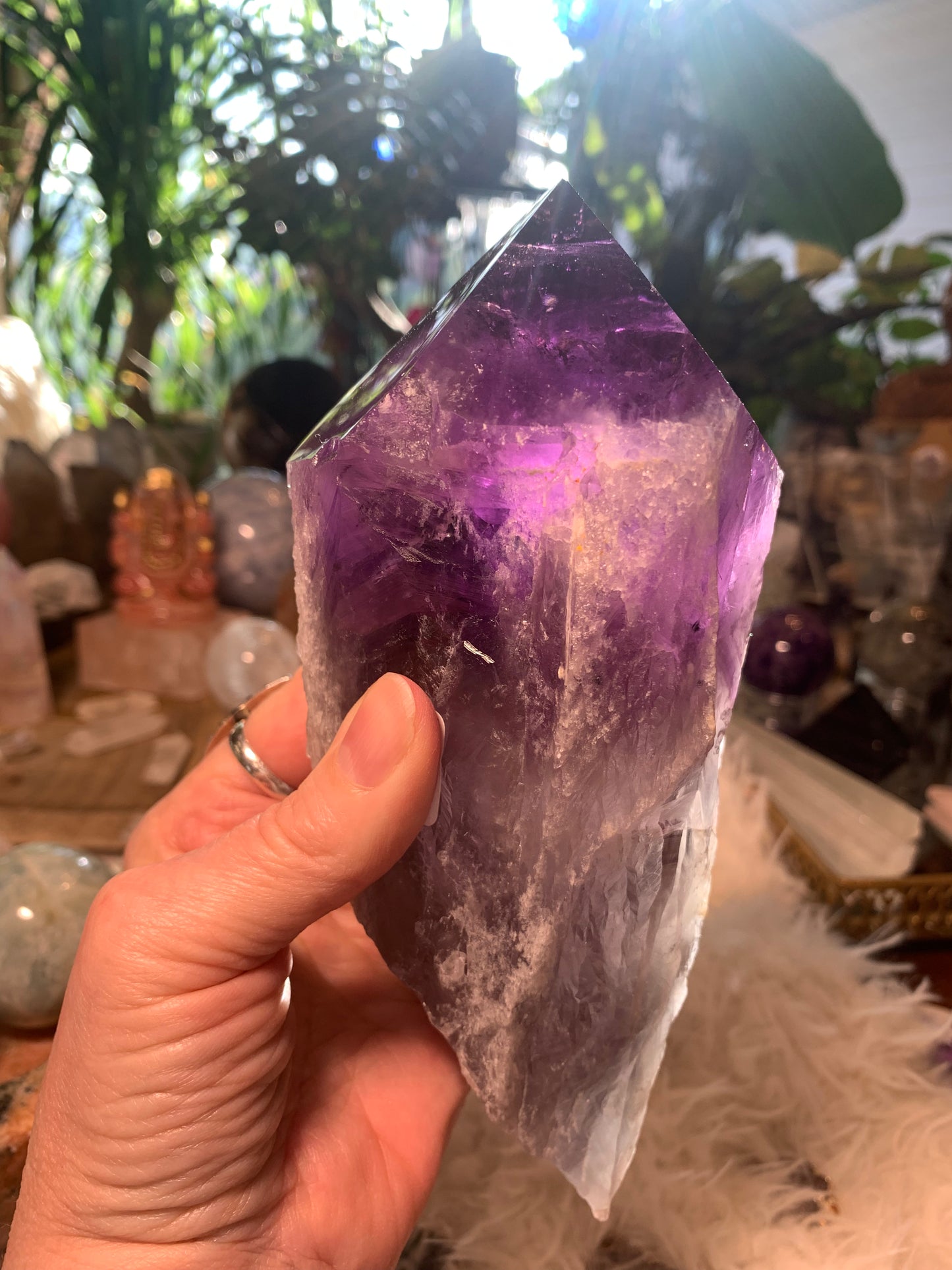 Amethyst Root Point - Bahia Brazil - Phantoms