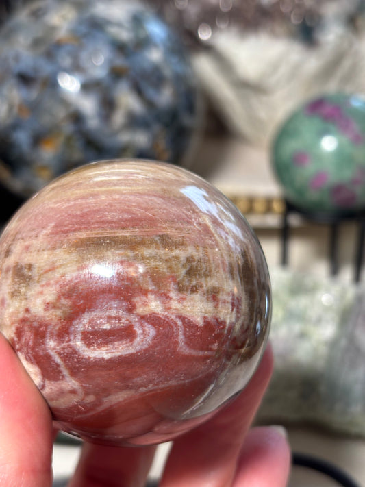 Petrified Wood Sphere - Madagascar