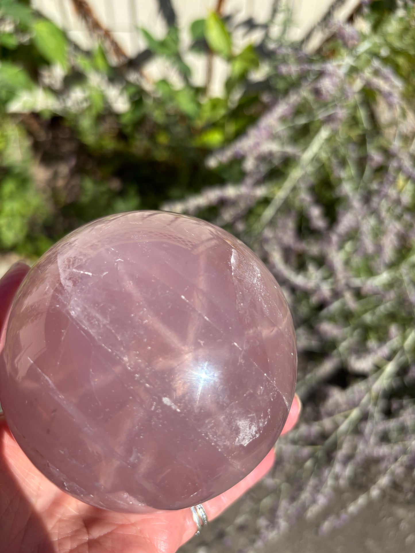 STAR Lavender Rose Quartz Sphere - Madagascar