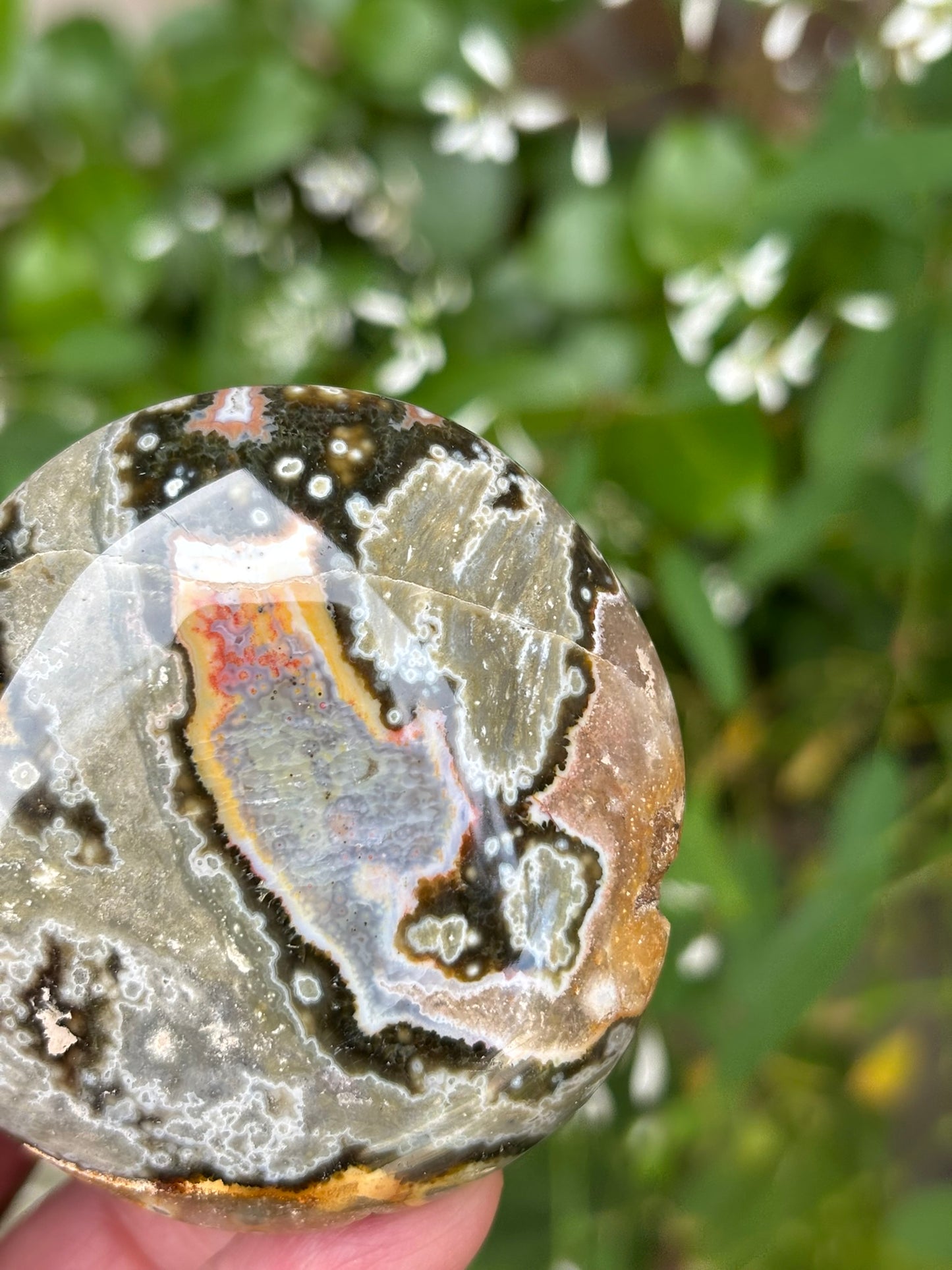 Ocean Jasper - Palm Stone | Madagascar