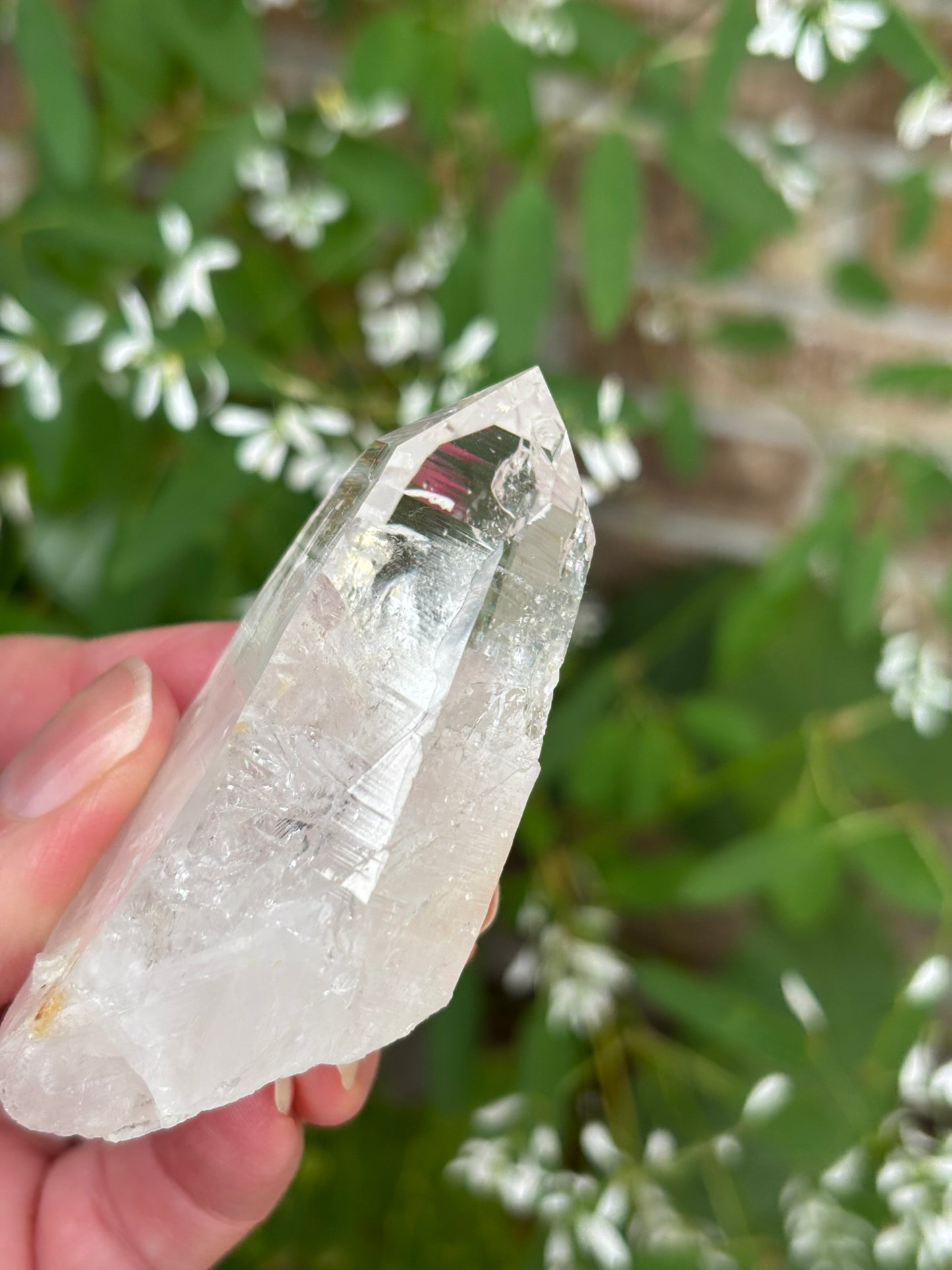 Columbian Lemurian Quartz point