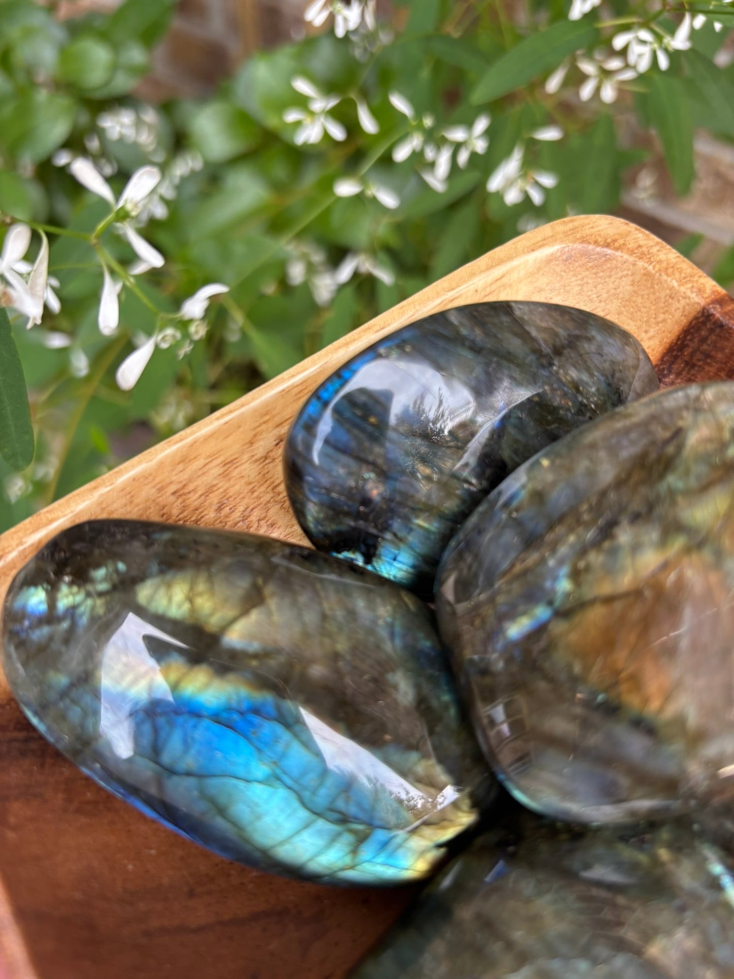 Labradorite - Palm Stone | Madagascar