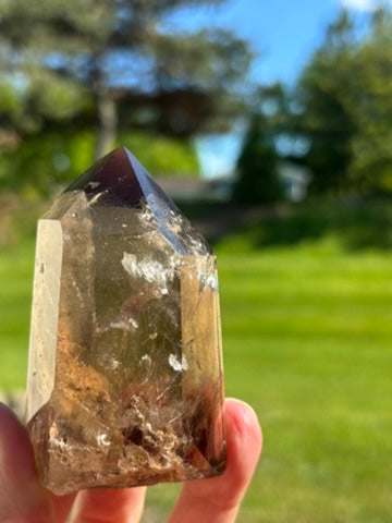 Smokey Quartz with Garden and Rutile