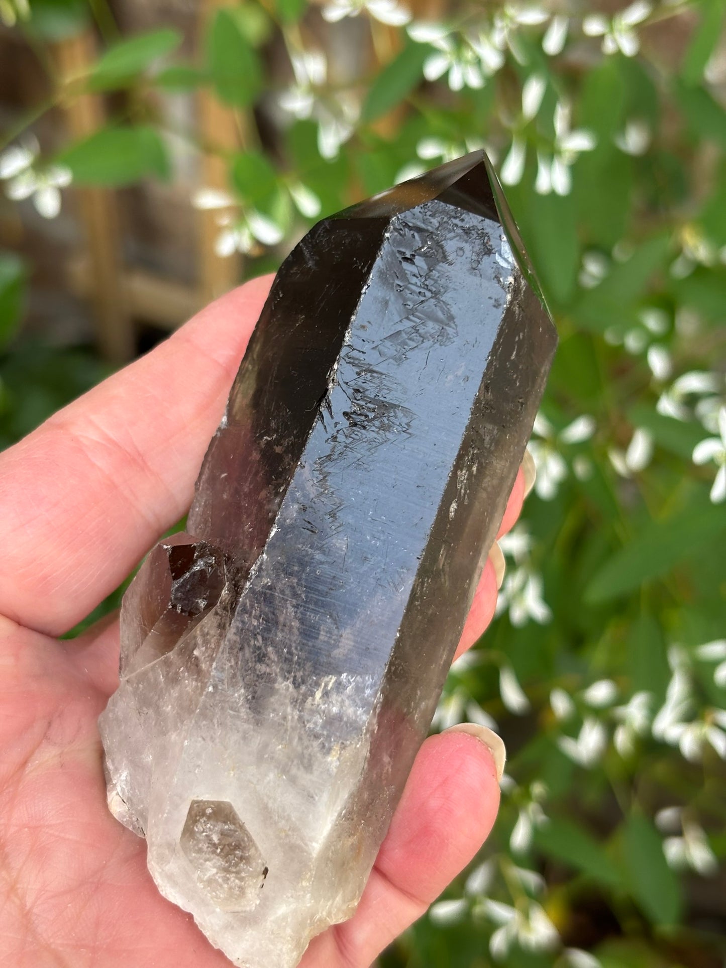 Smokey Quartz Point - Brazil