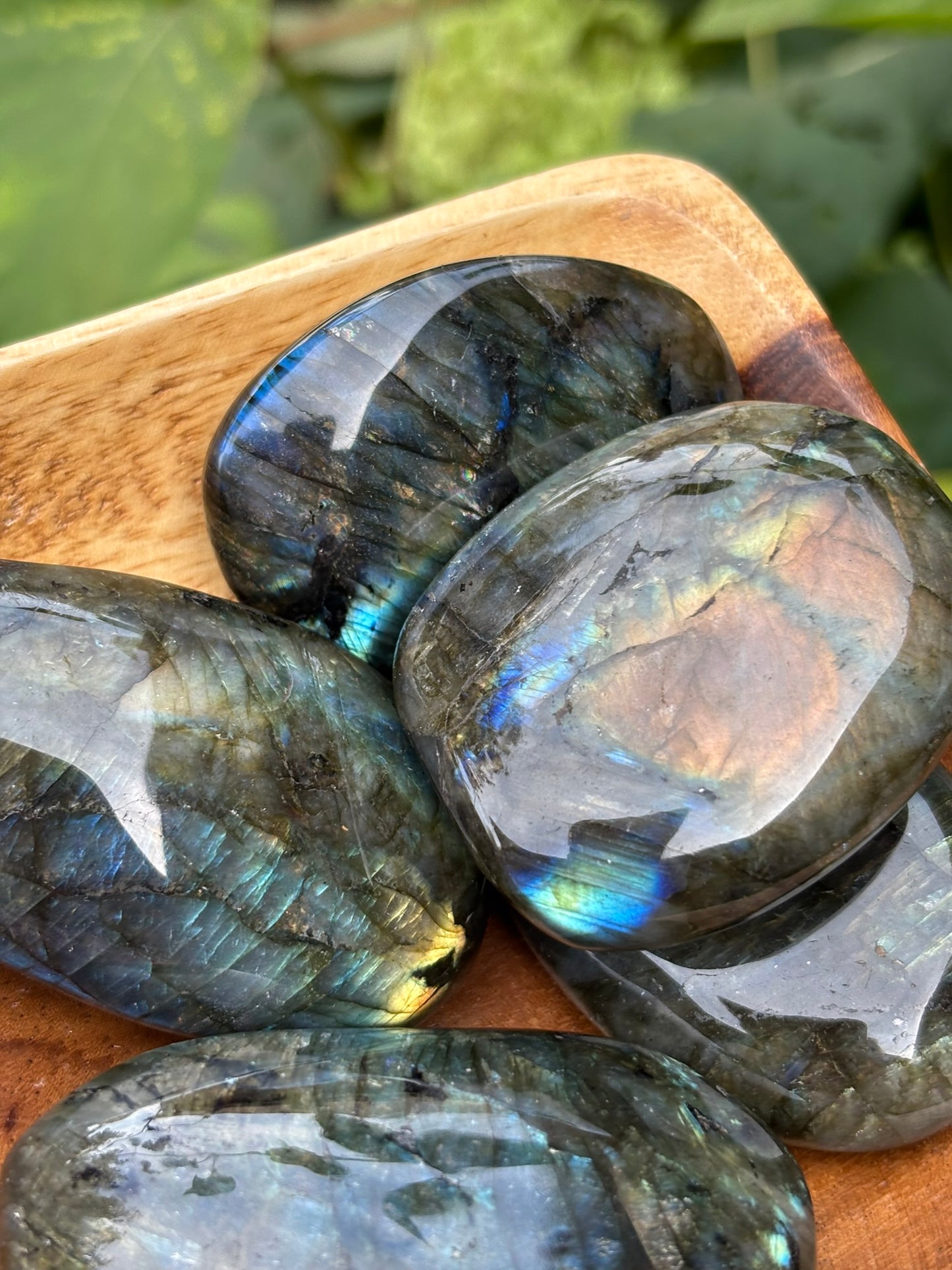 Labradorite - Palm Stone | Madagascar