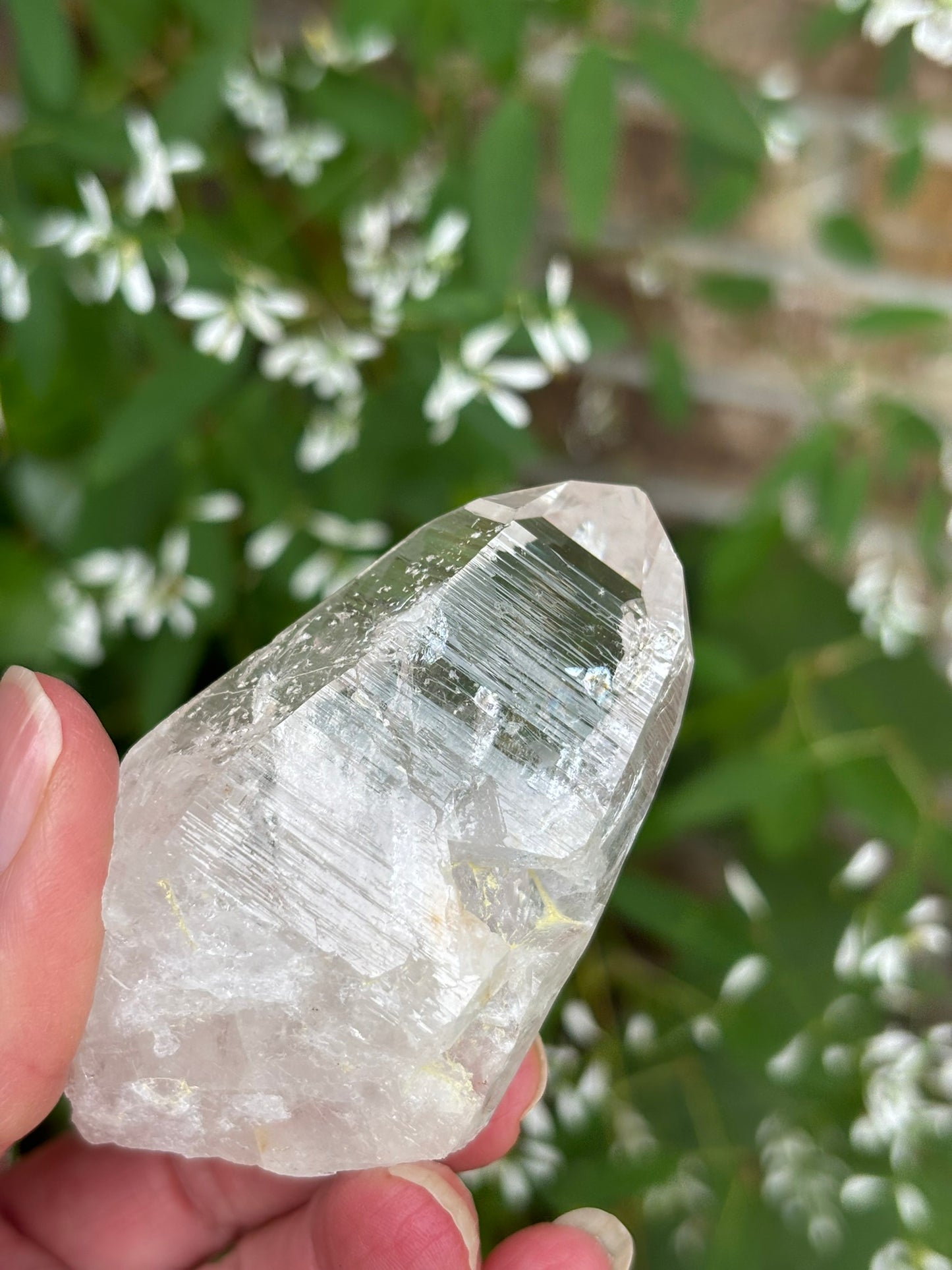 Columbian Lemurian Quartz point