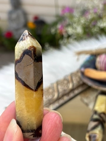 Septarian point | Madagascar