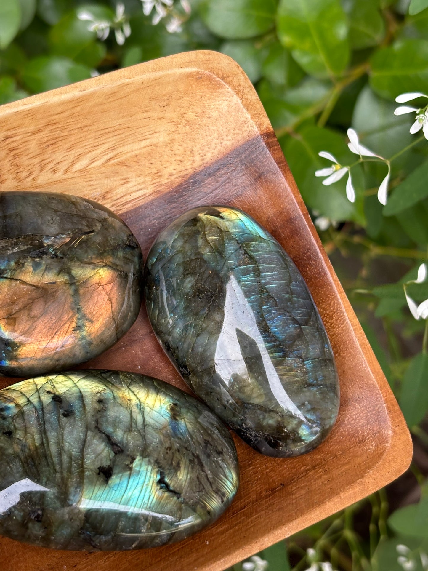 Labradorite - Palm Stone | Madagascar