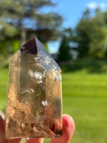 Smokey Quartz with Garden and Rutile