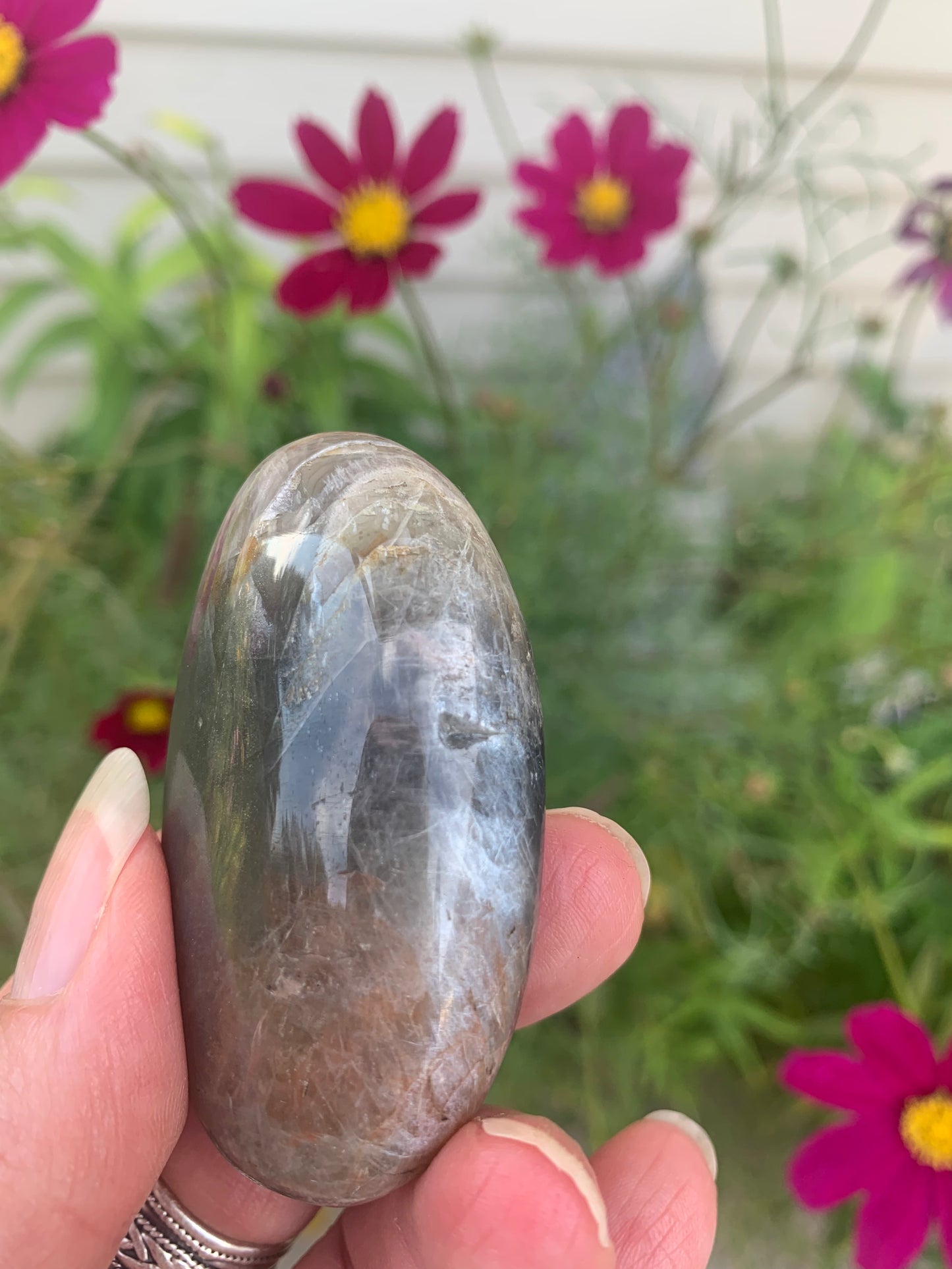 Black Moonstone - Palm Stone