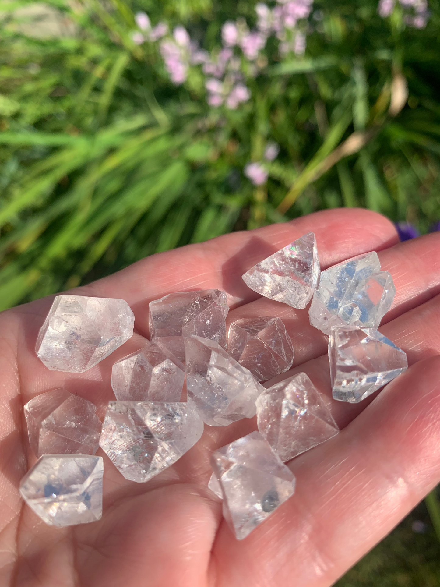 Apophyllite Points Zeolite SMALL | Bundle of 4