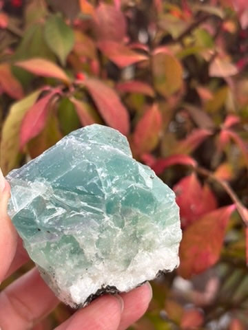 Fluorite - Mexico