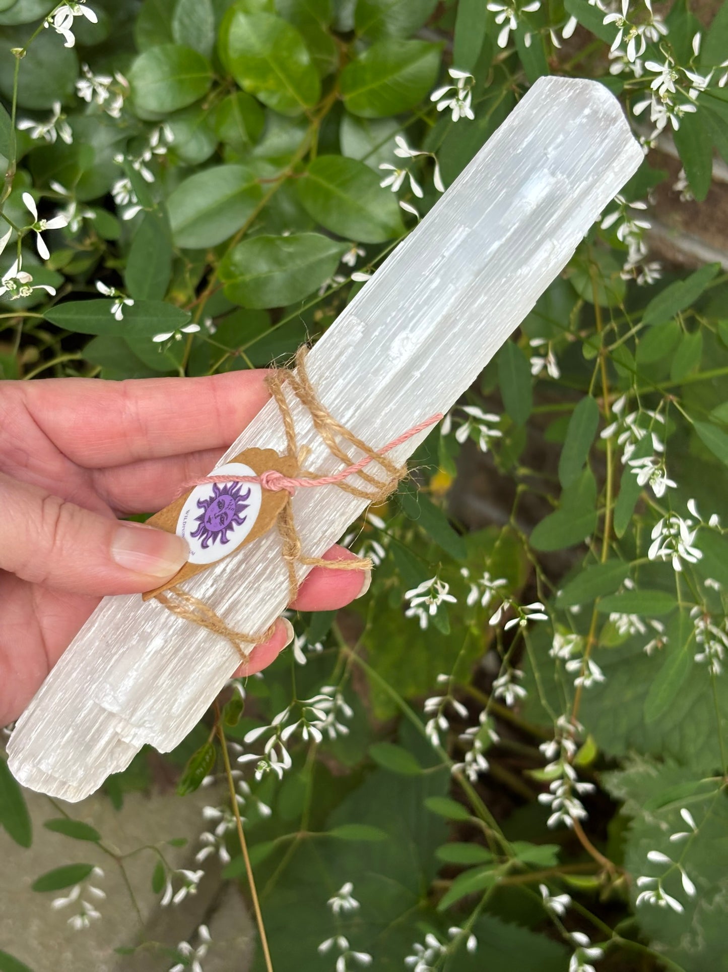 Natural Selenite Wand | Morocco