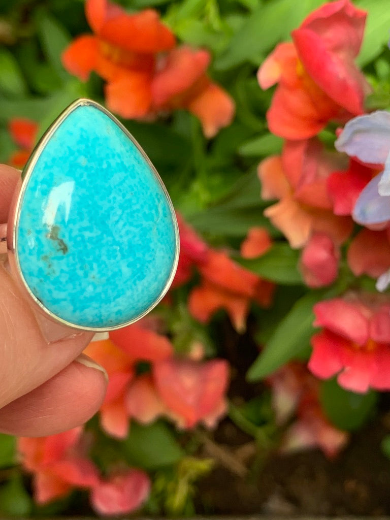 Kingman Turquoise Ring size 9.75