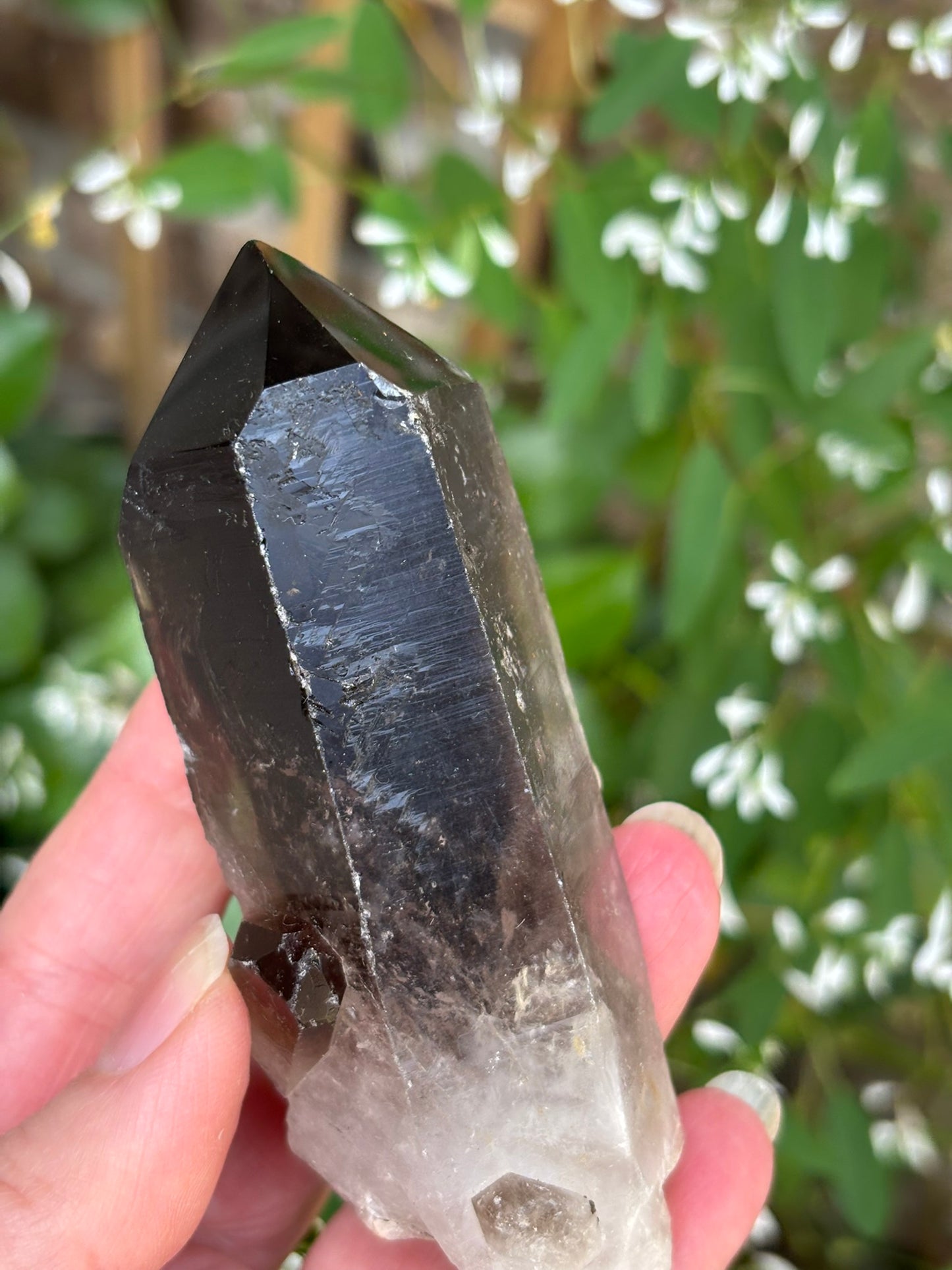 Smokey Quartz Point - Brazil