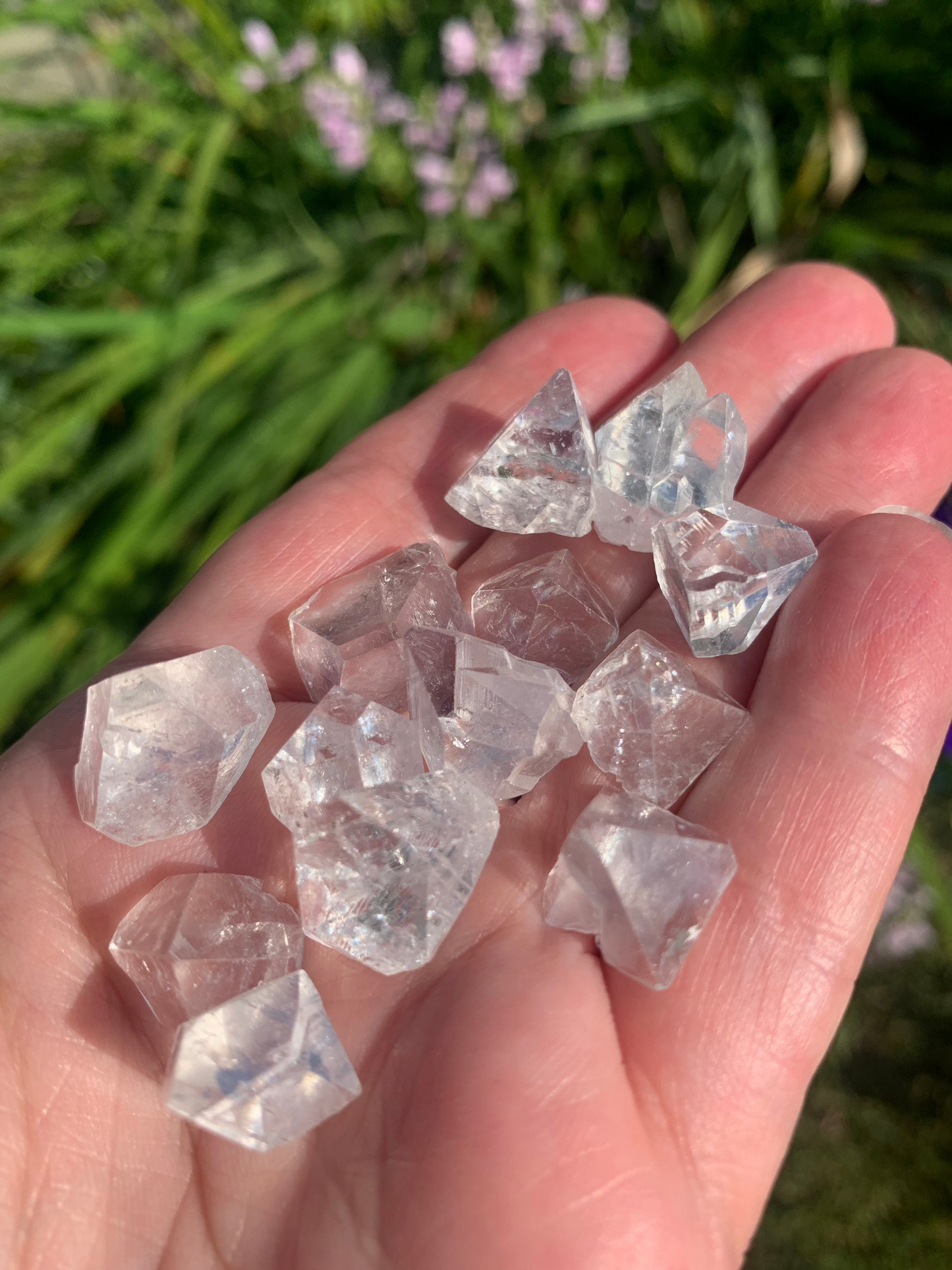 Apophyllite Points Zeolite SMALL | Bundle of 4