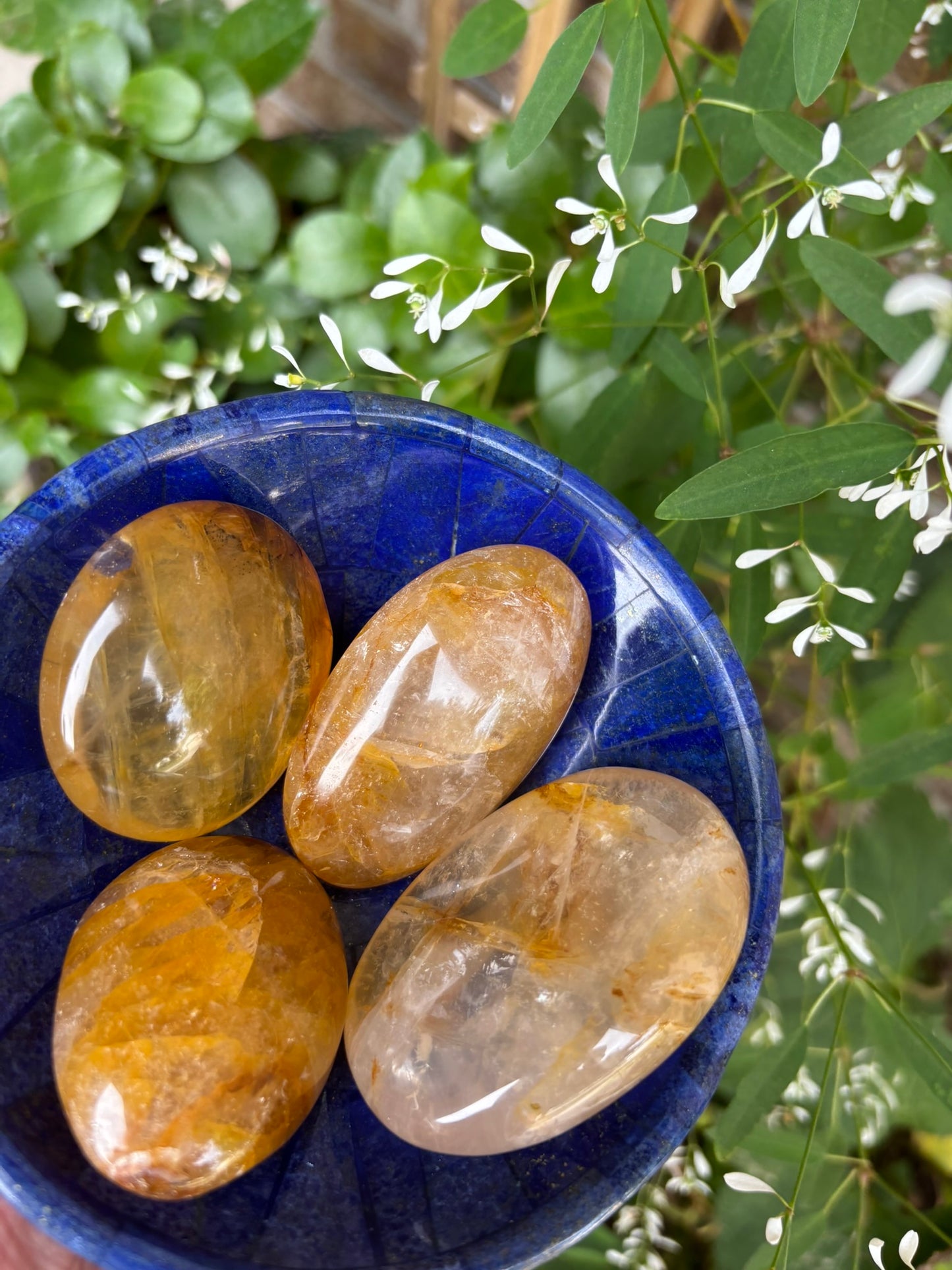 Golden Healer - Palm Stone
