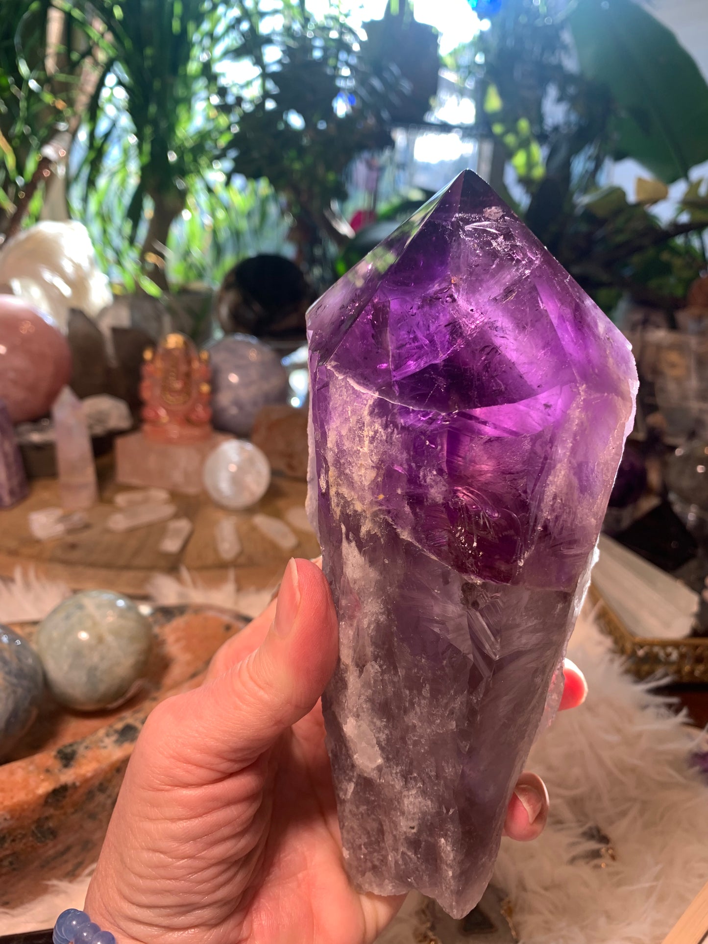 Amethyst Root Point - Bahia Brazil - Phantoms