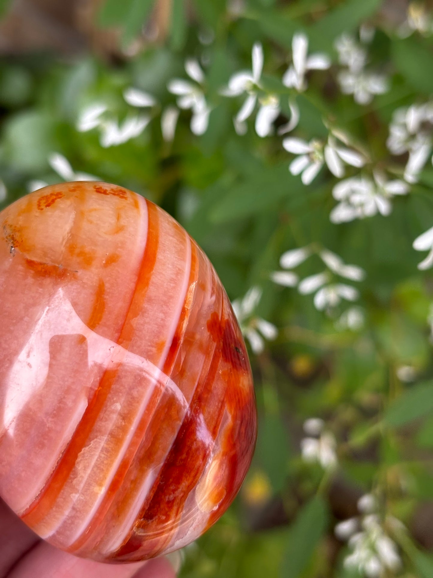 Carnelian - Palm Stone | Madagascar