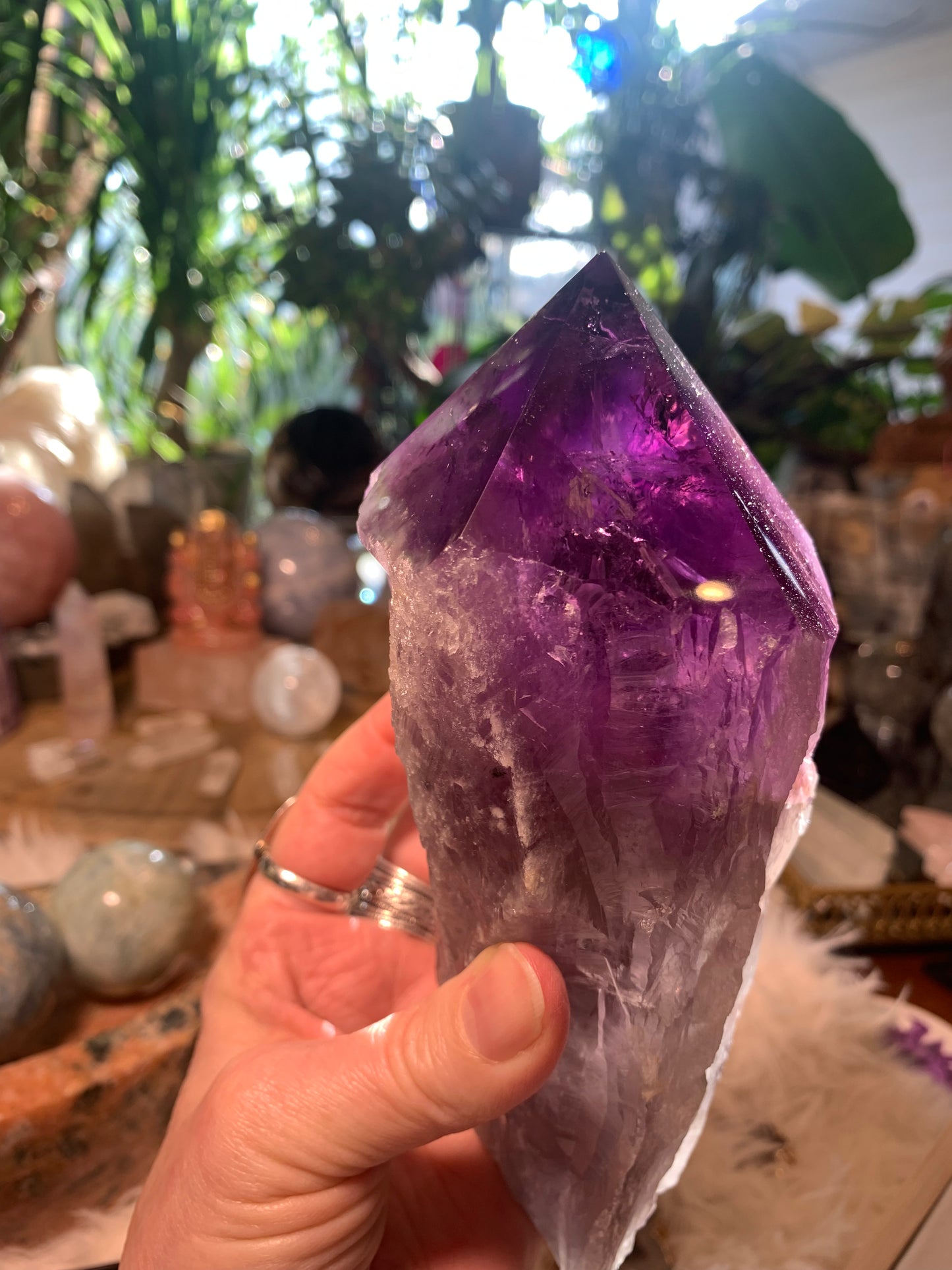 Amethyst Root Point - Bahia Brazil - Phantoms