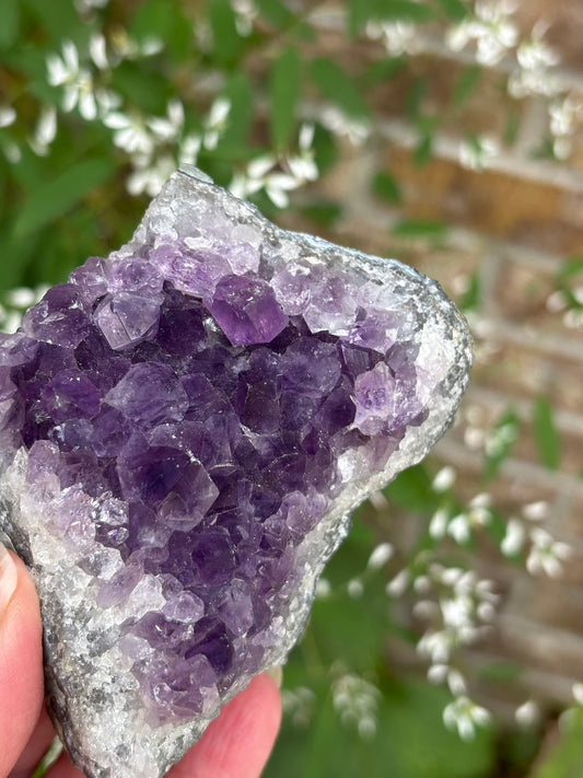 Amethyst Cluster