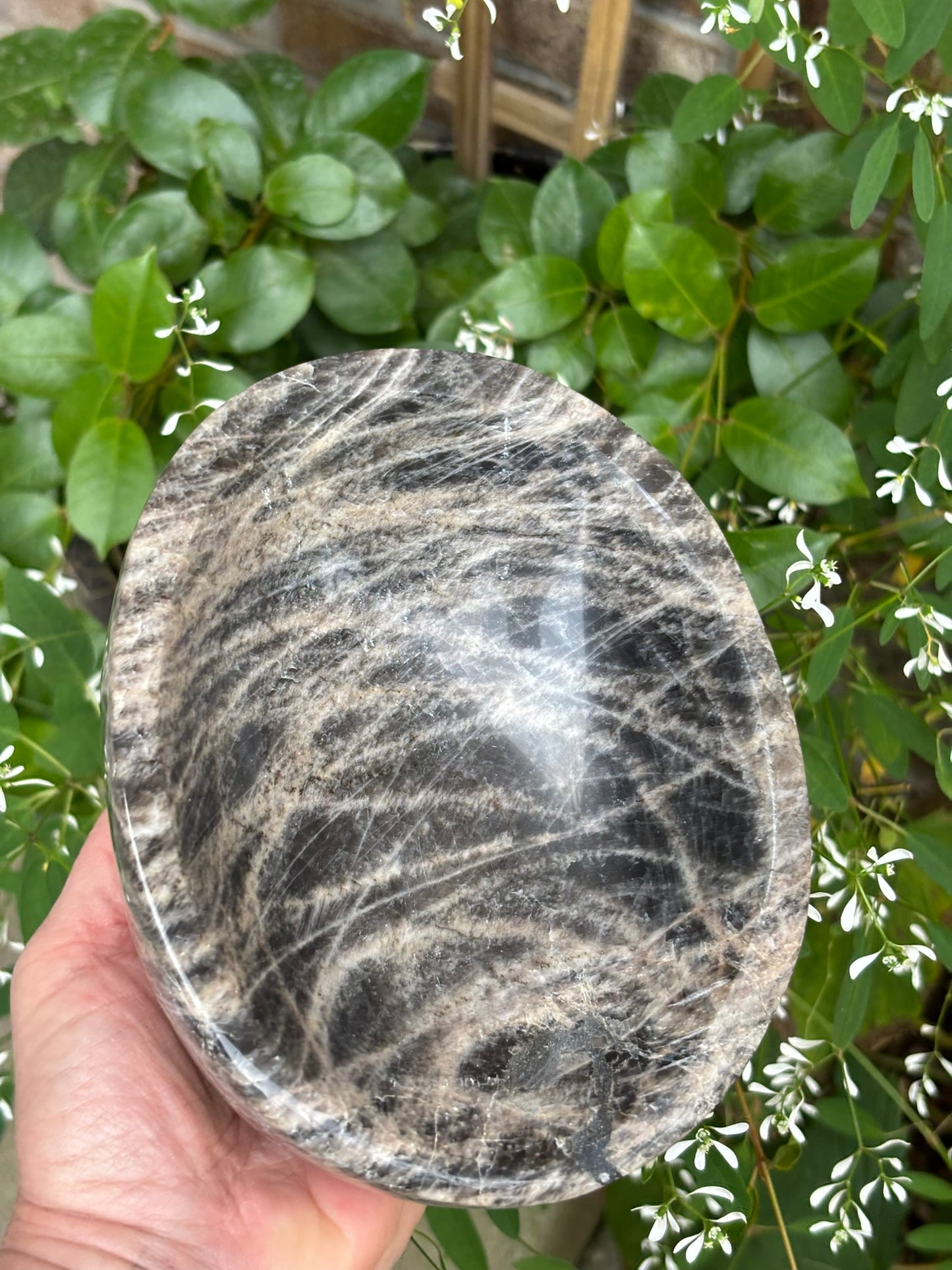 Black Moonstone - Bowl