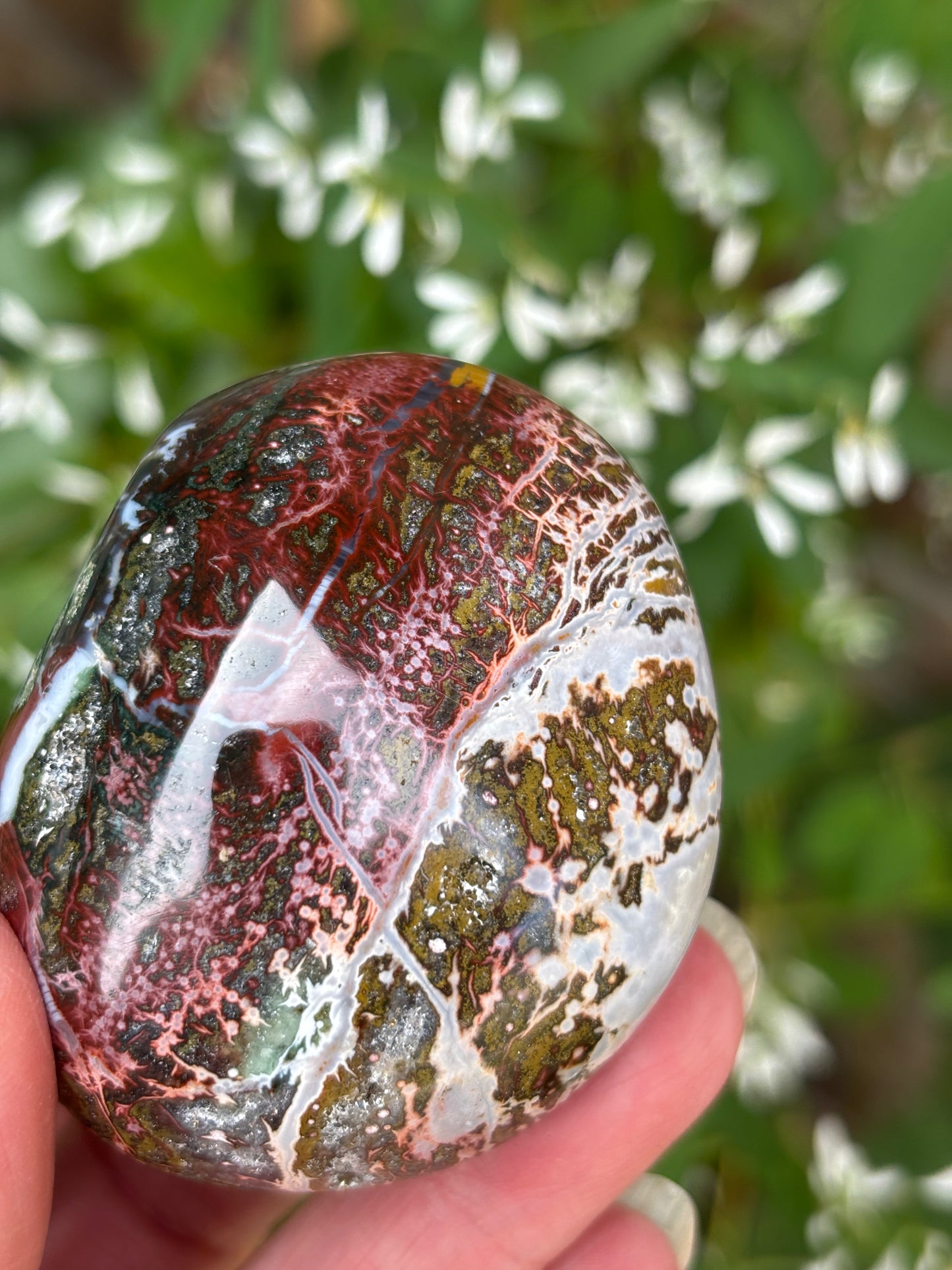 Ocean Jasper - Palm Stone | Madagascar