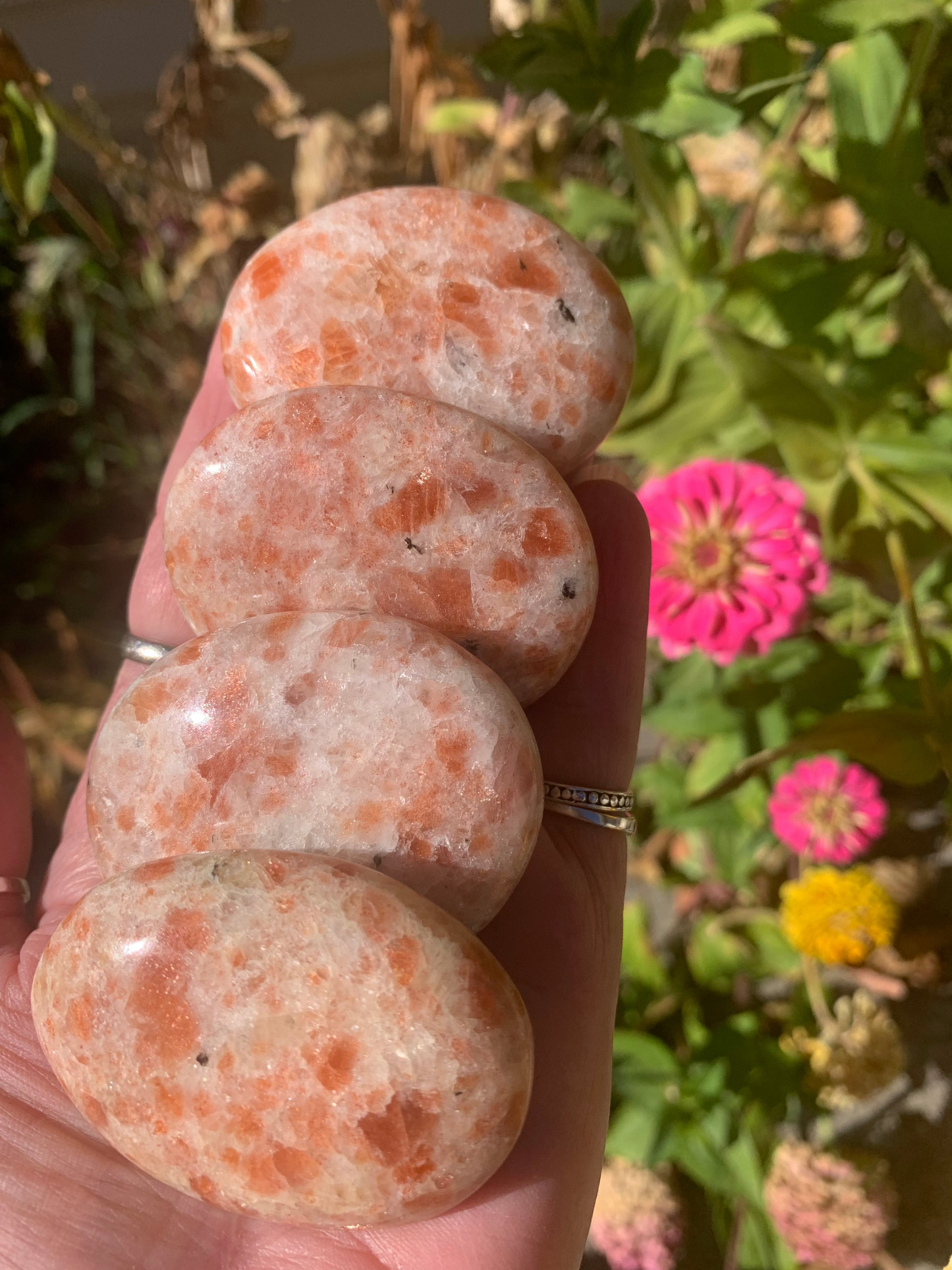 Sunstone - Palm Stone - India